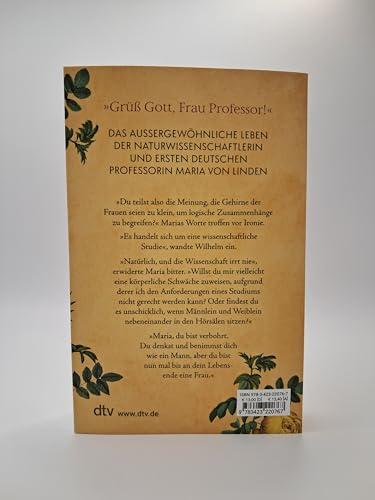 Beispielinhalt (Bild) Die Farben der Schmetterlinge