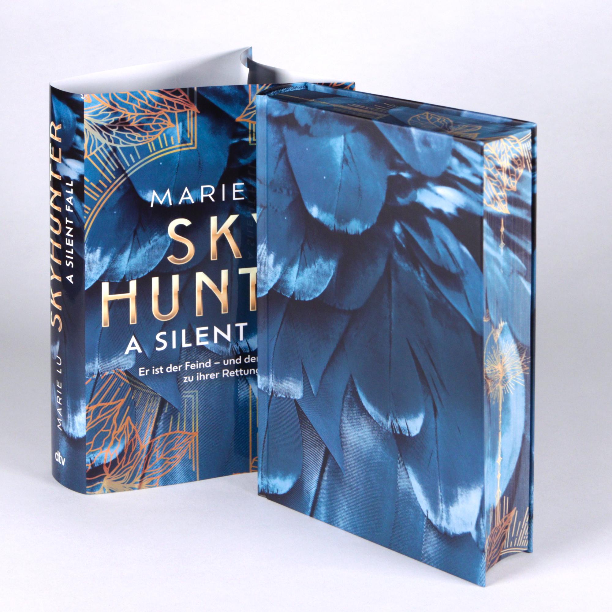Beispielinhalt (Bild) Skyhunter - A Silent Fall