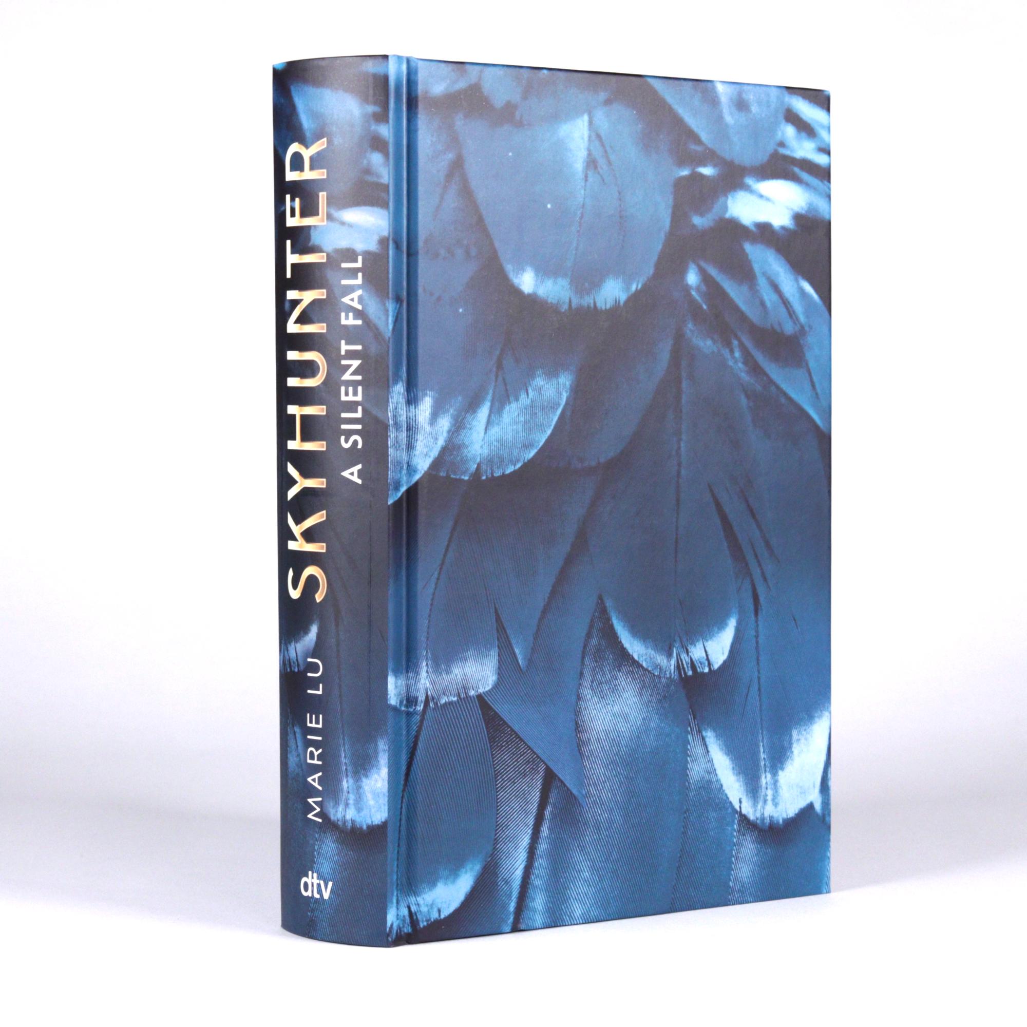 Beispielinhalt (Bild) Skyhunter - A Silent Fall