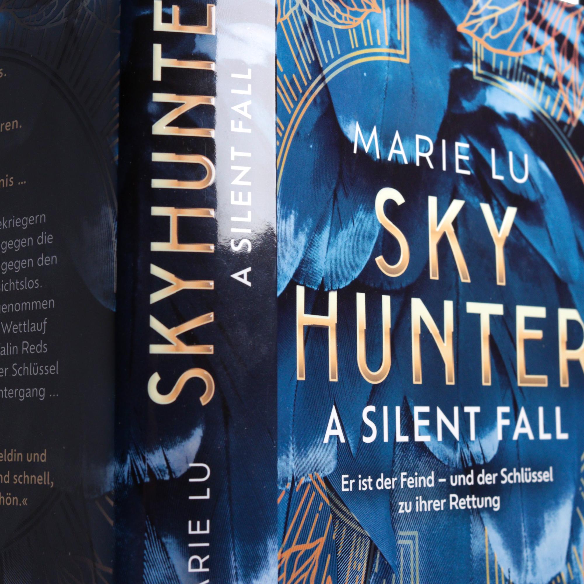 Beispielinhalt (Bild) Skyhunter - A Silent Fall