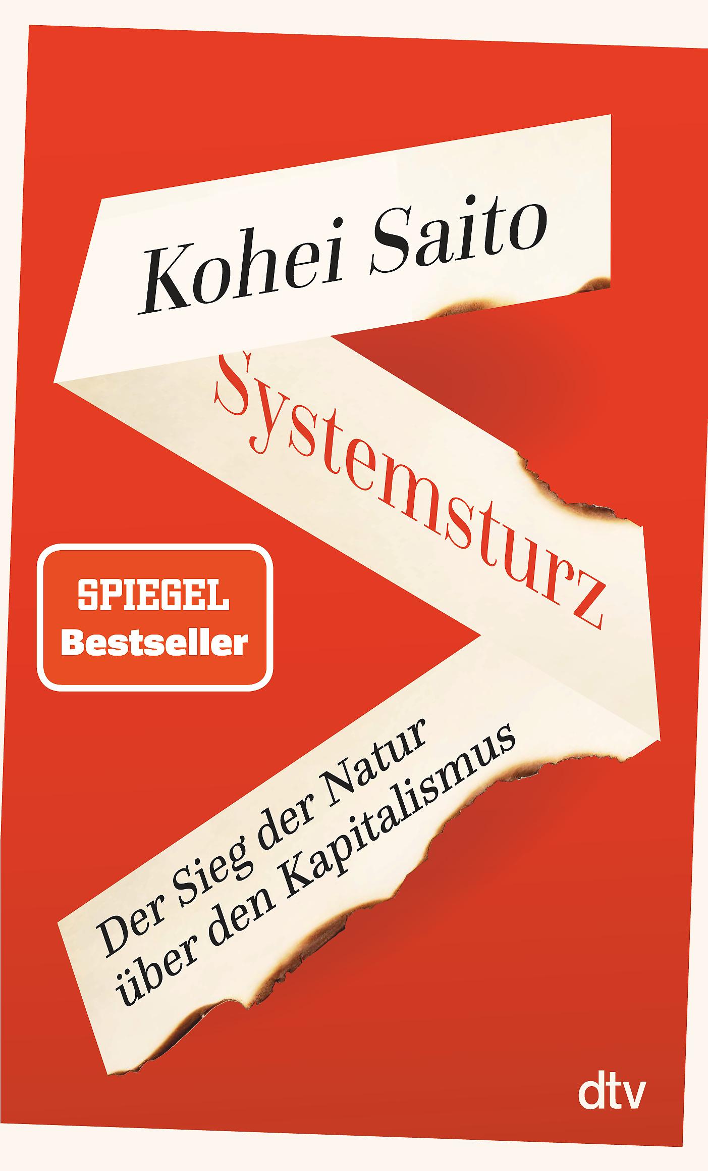 Vorderes Coverbild Systemsturz