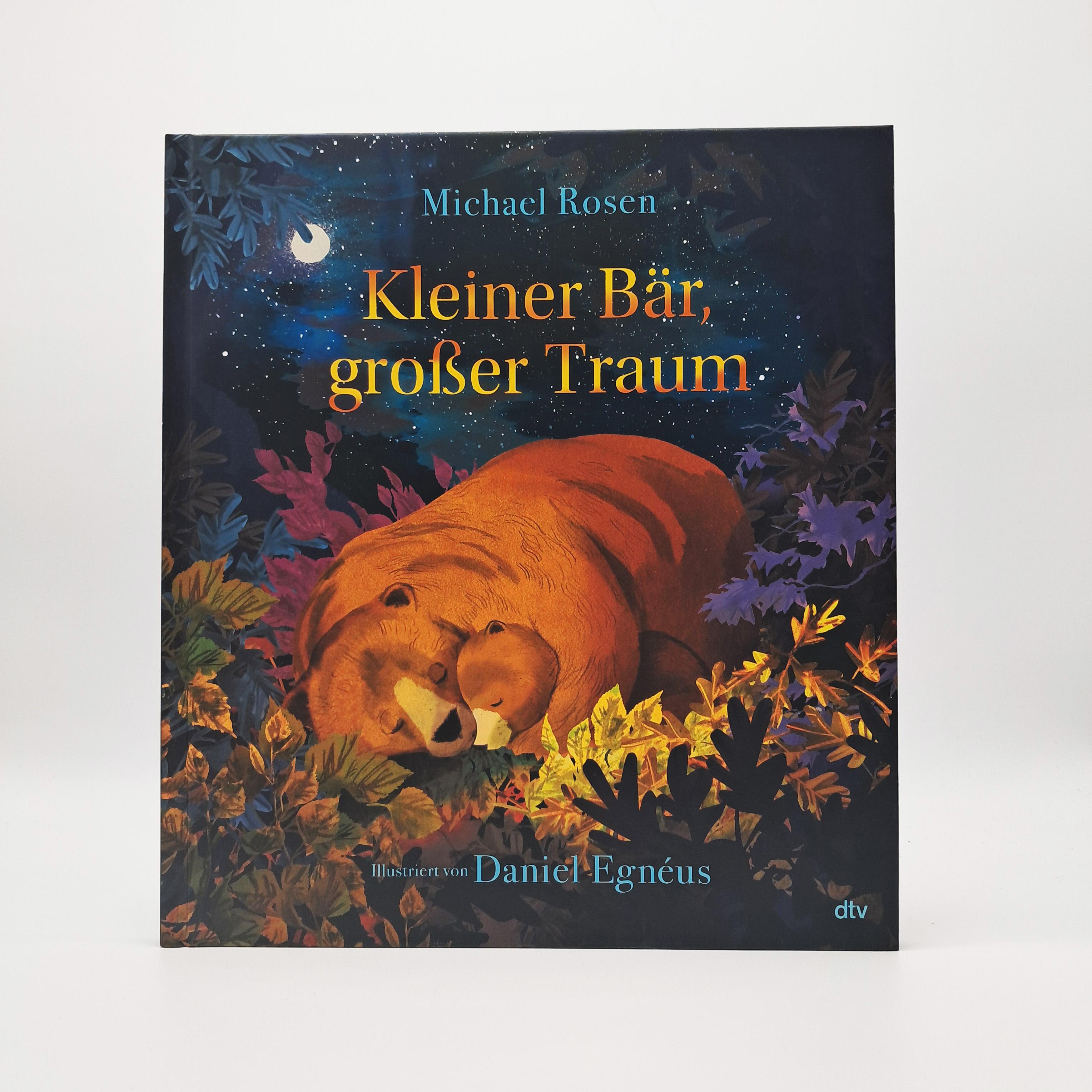 Beispielinhalt (Bild) Kleiner Bär, großer Traum