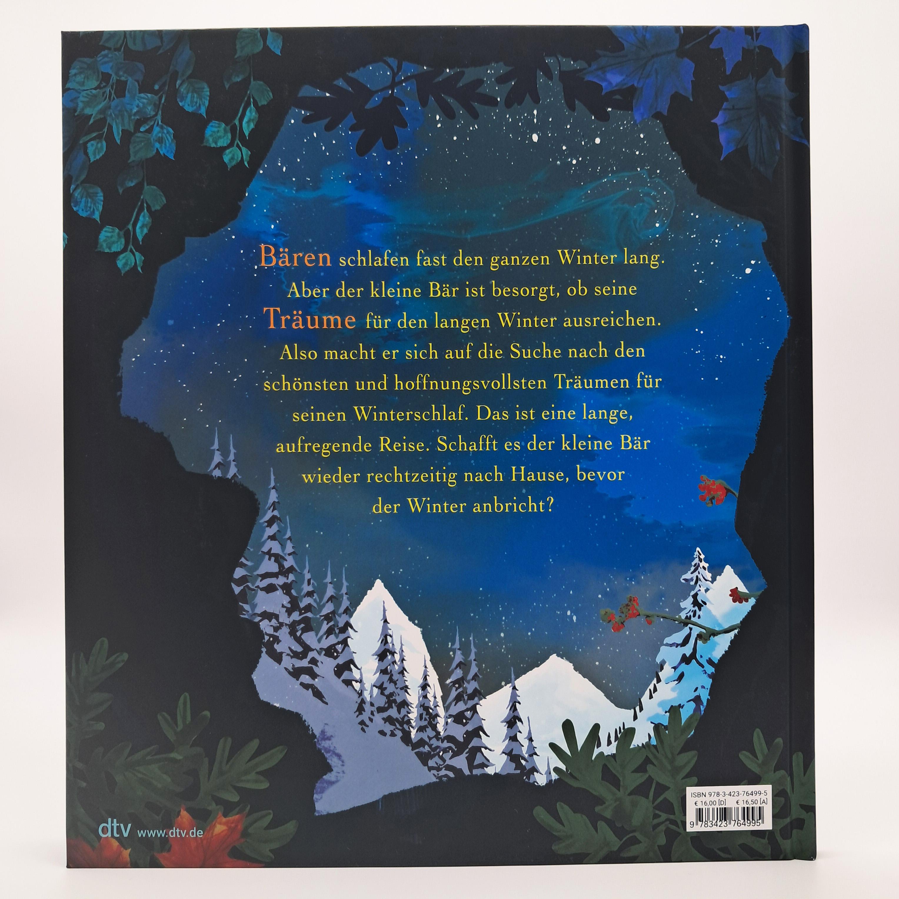Beispielinhalt (Bild) Kleiner Bär, großer Traum