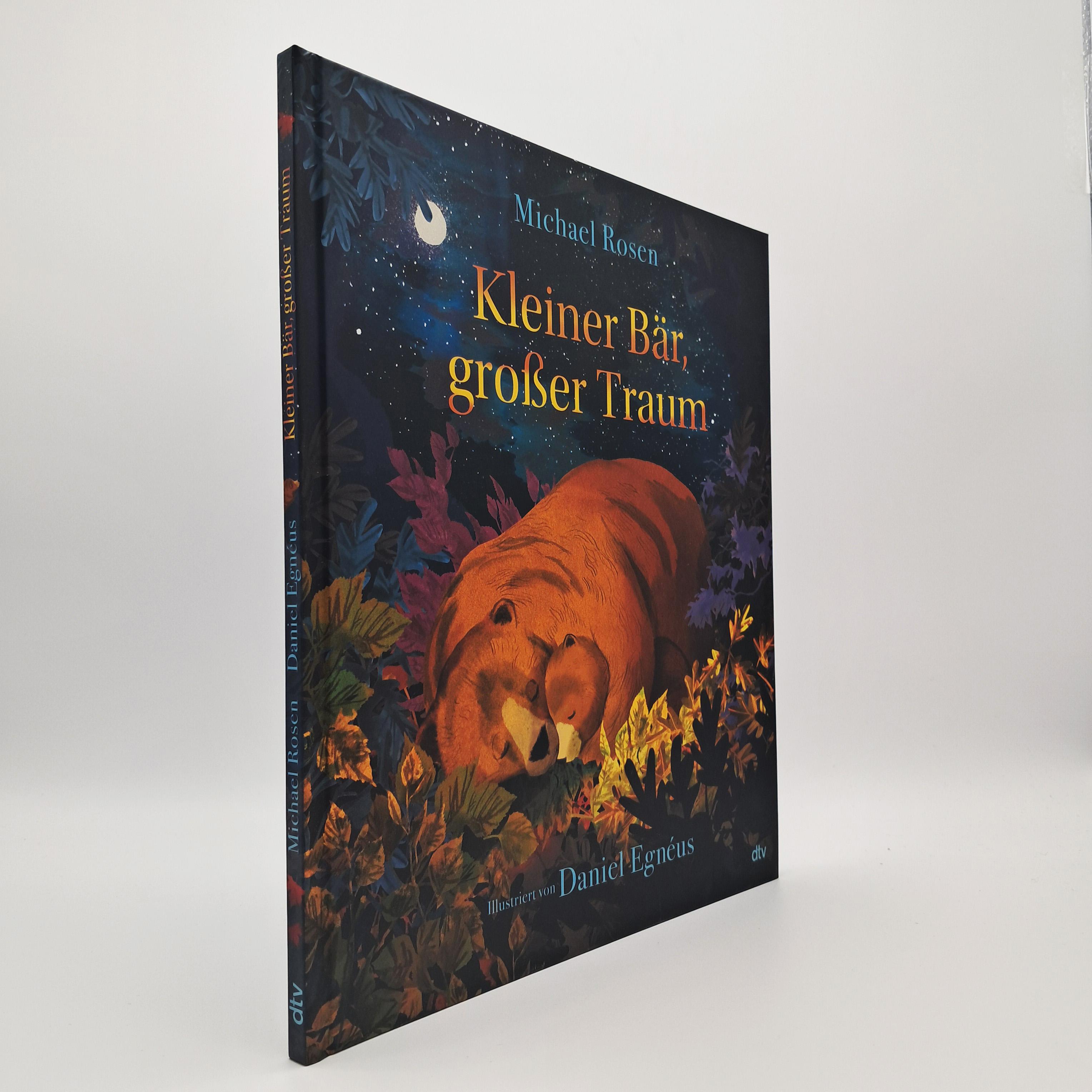Beispielinhalt (Bild) Kleiner Bär, großer Traum