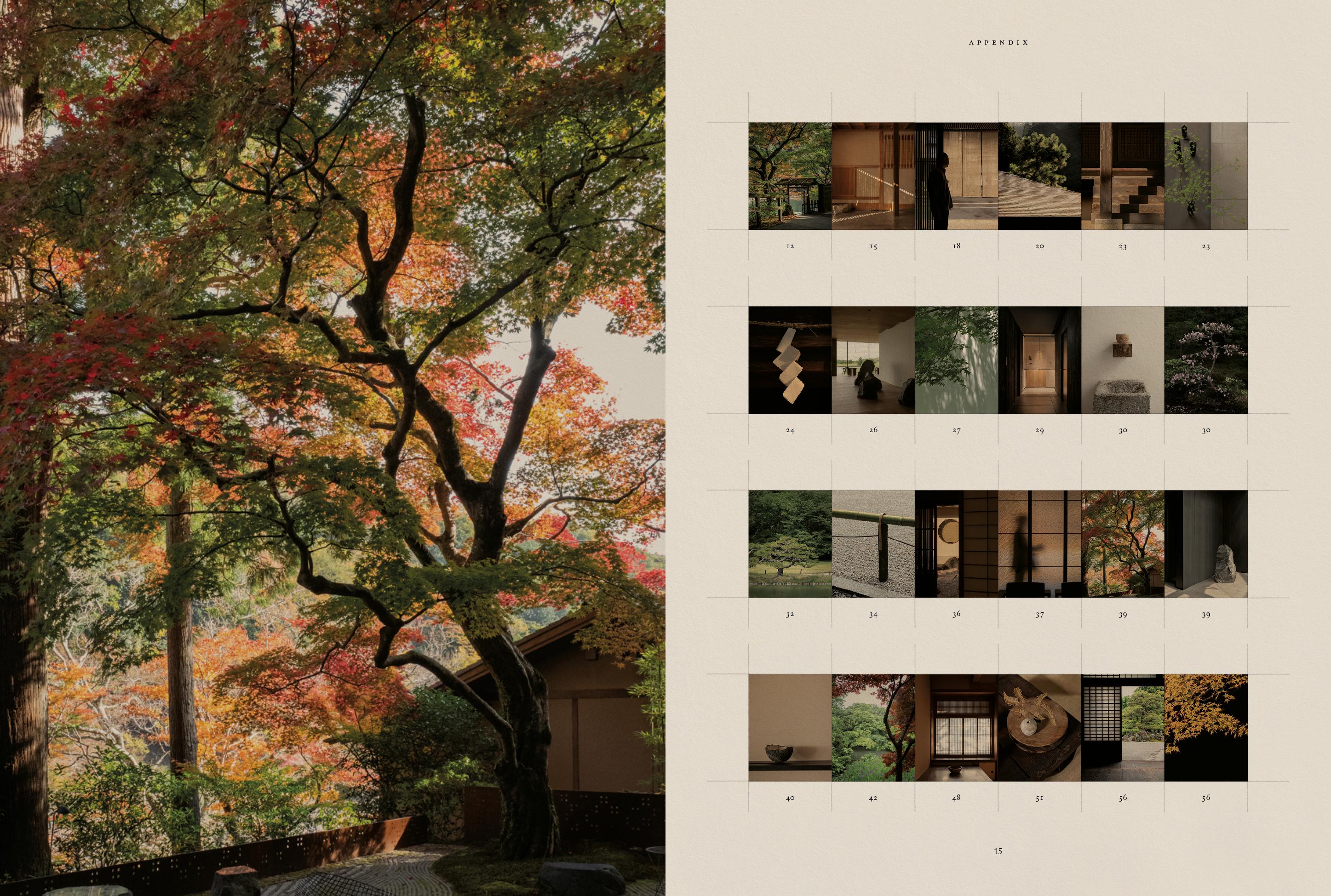 Beispielinhalt (Bild) Stillness