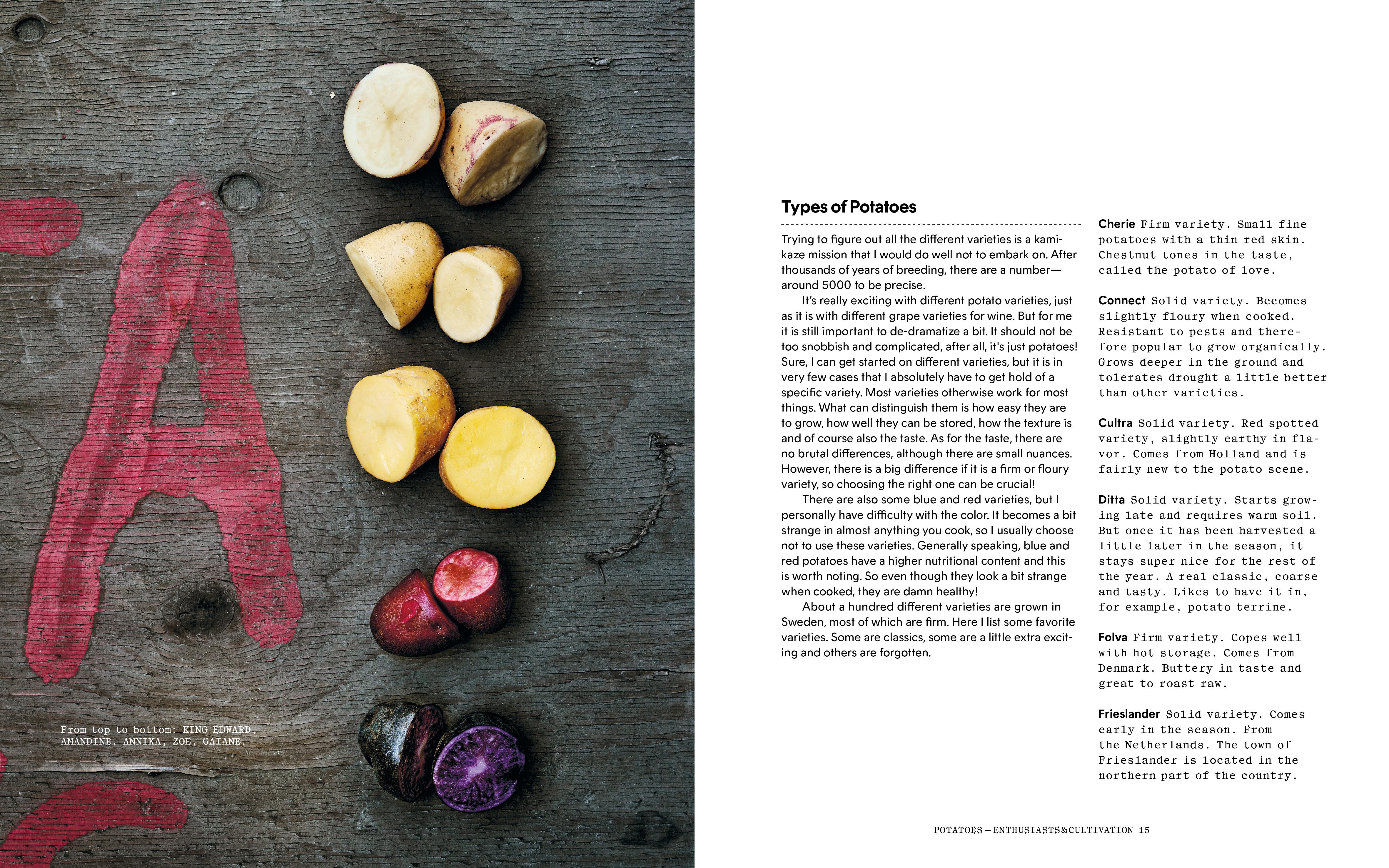 Beispielinhalt (Bild) Potato Total