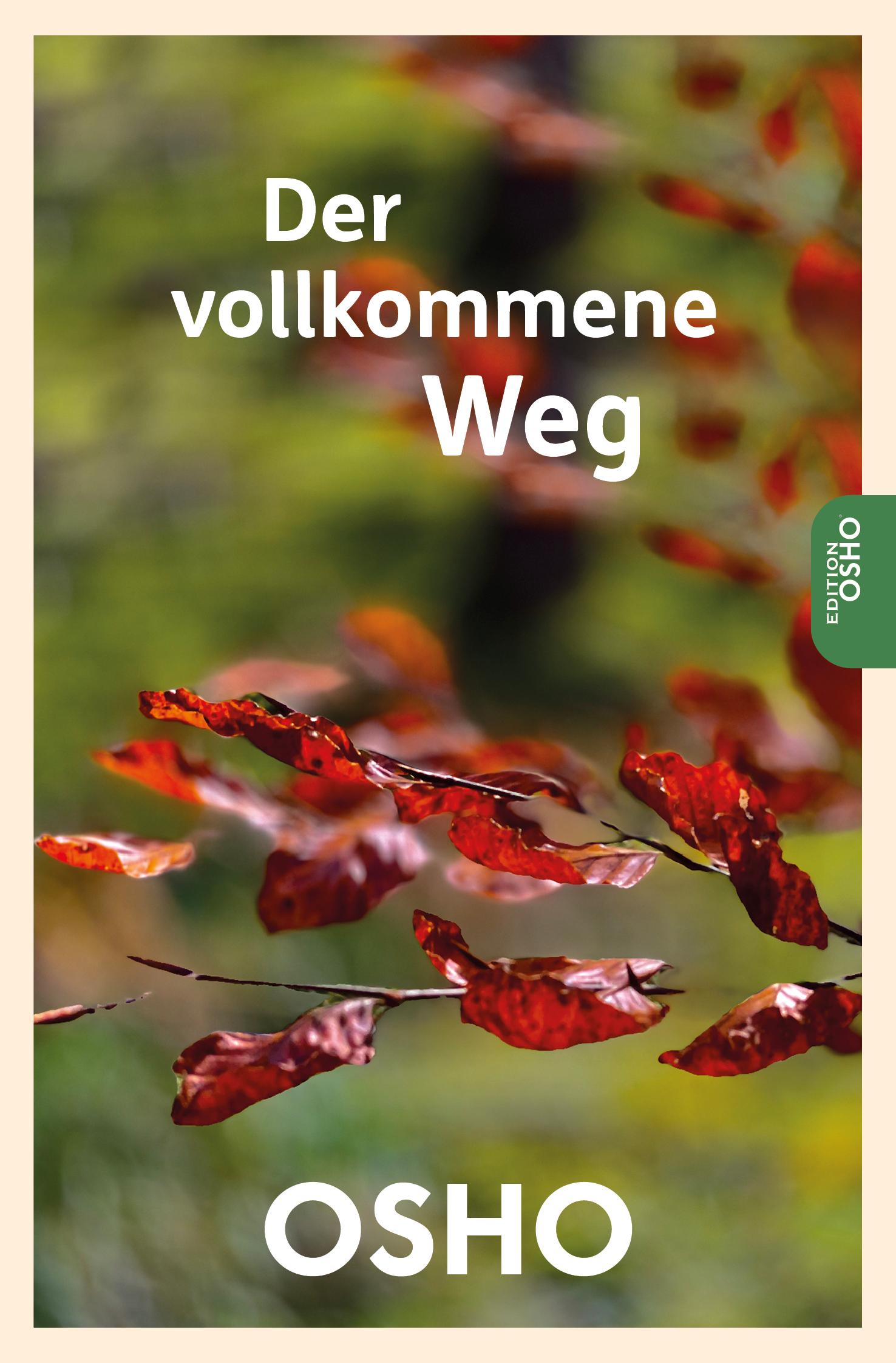 Vorderes Coverbild Der vollkommene Weg