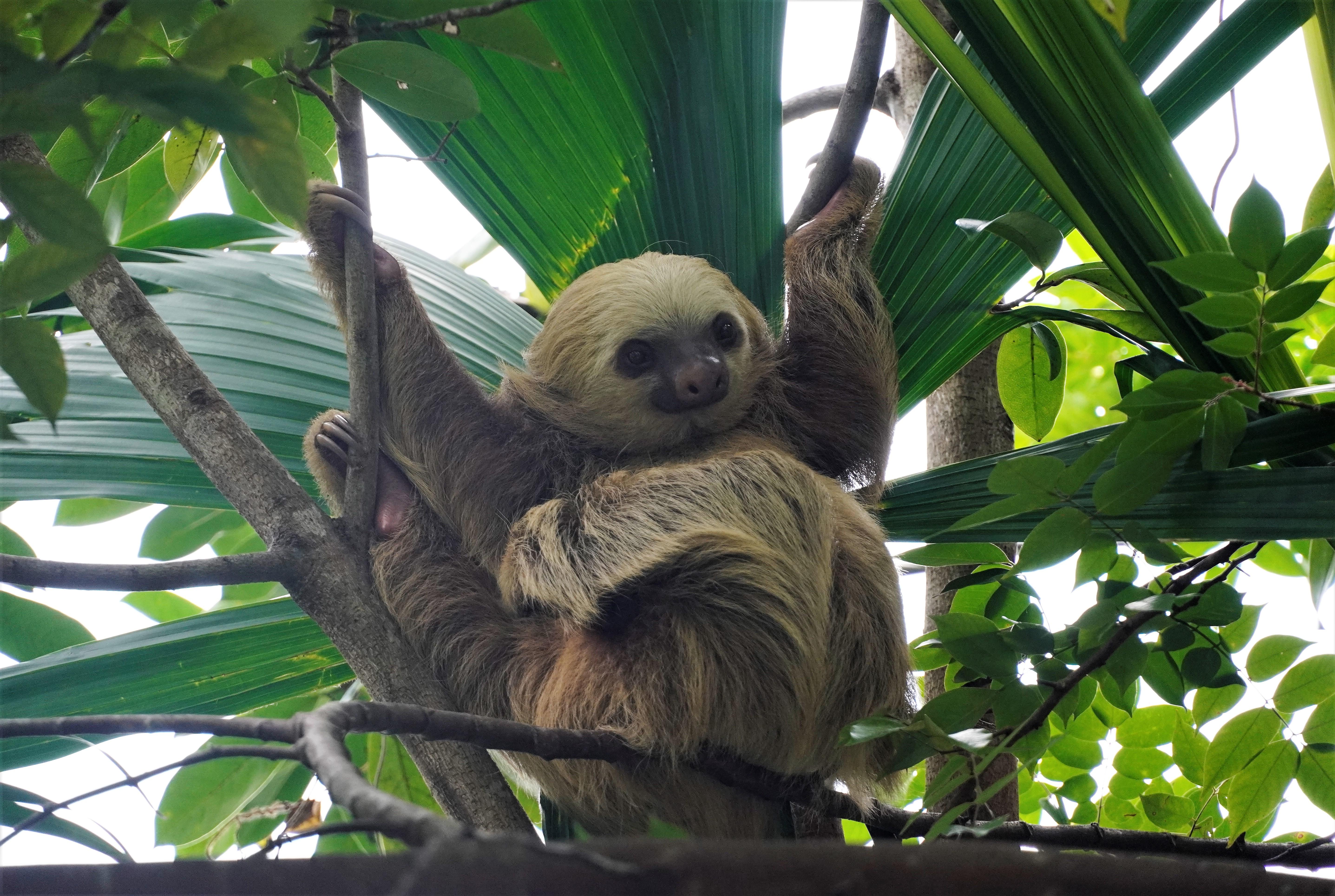 Beispielinhalt (Bild) Leuchtende Horizonte