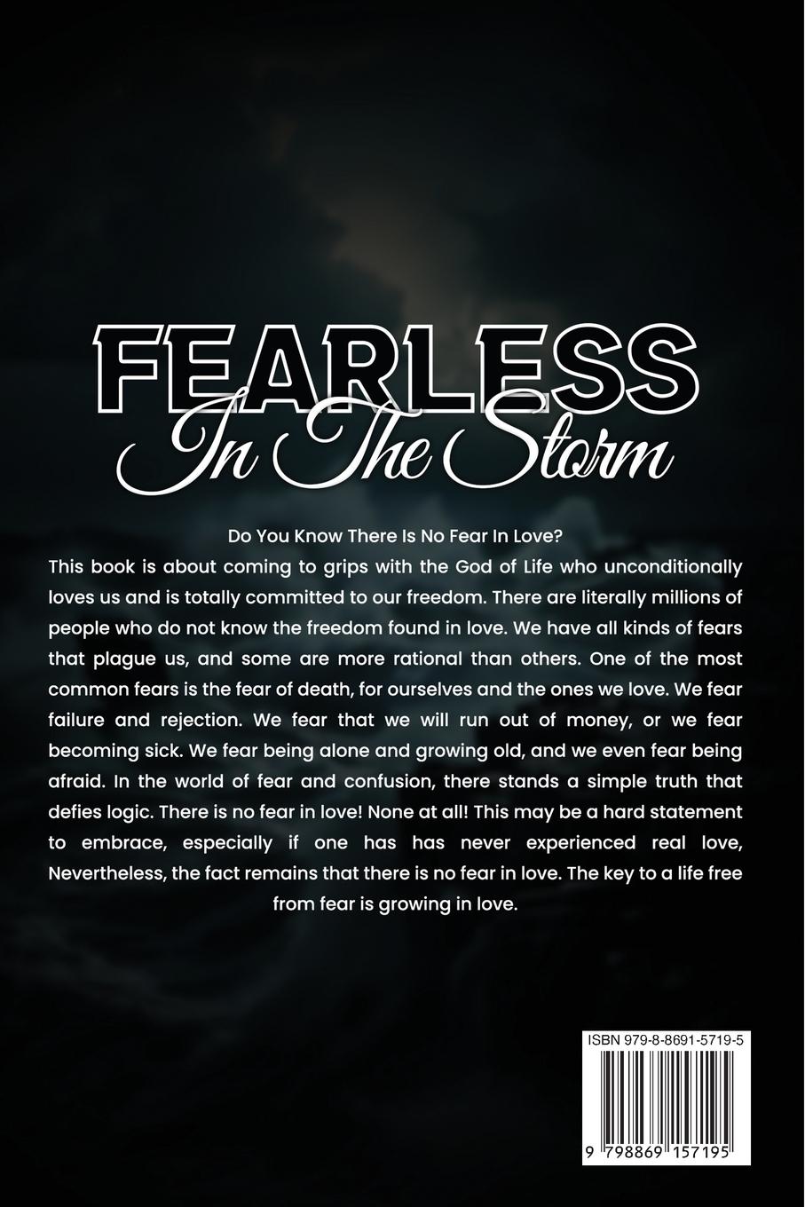 Rückseitencover Fearless in the Storm