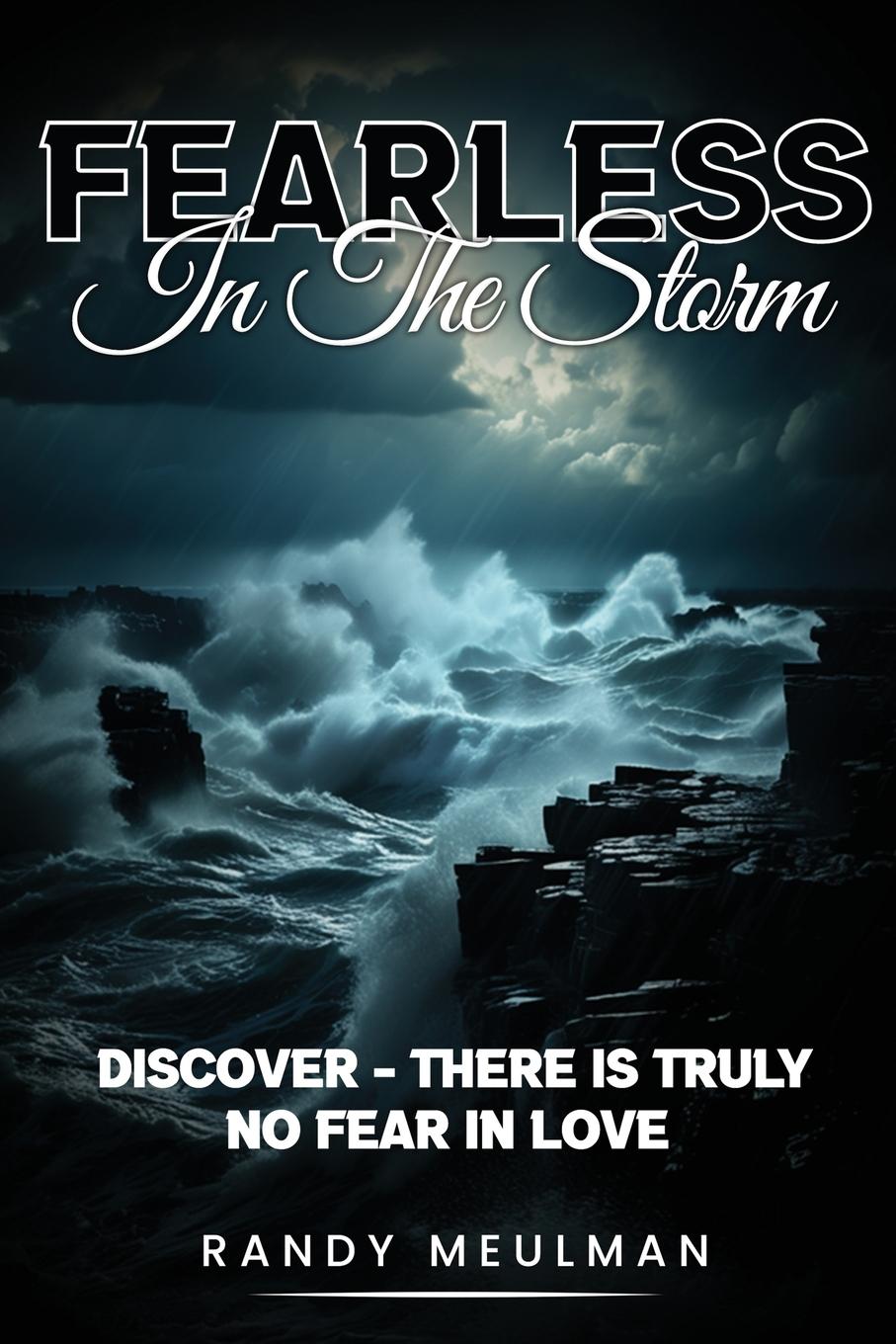 Vorderes Coverbild Fearless in the Storm