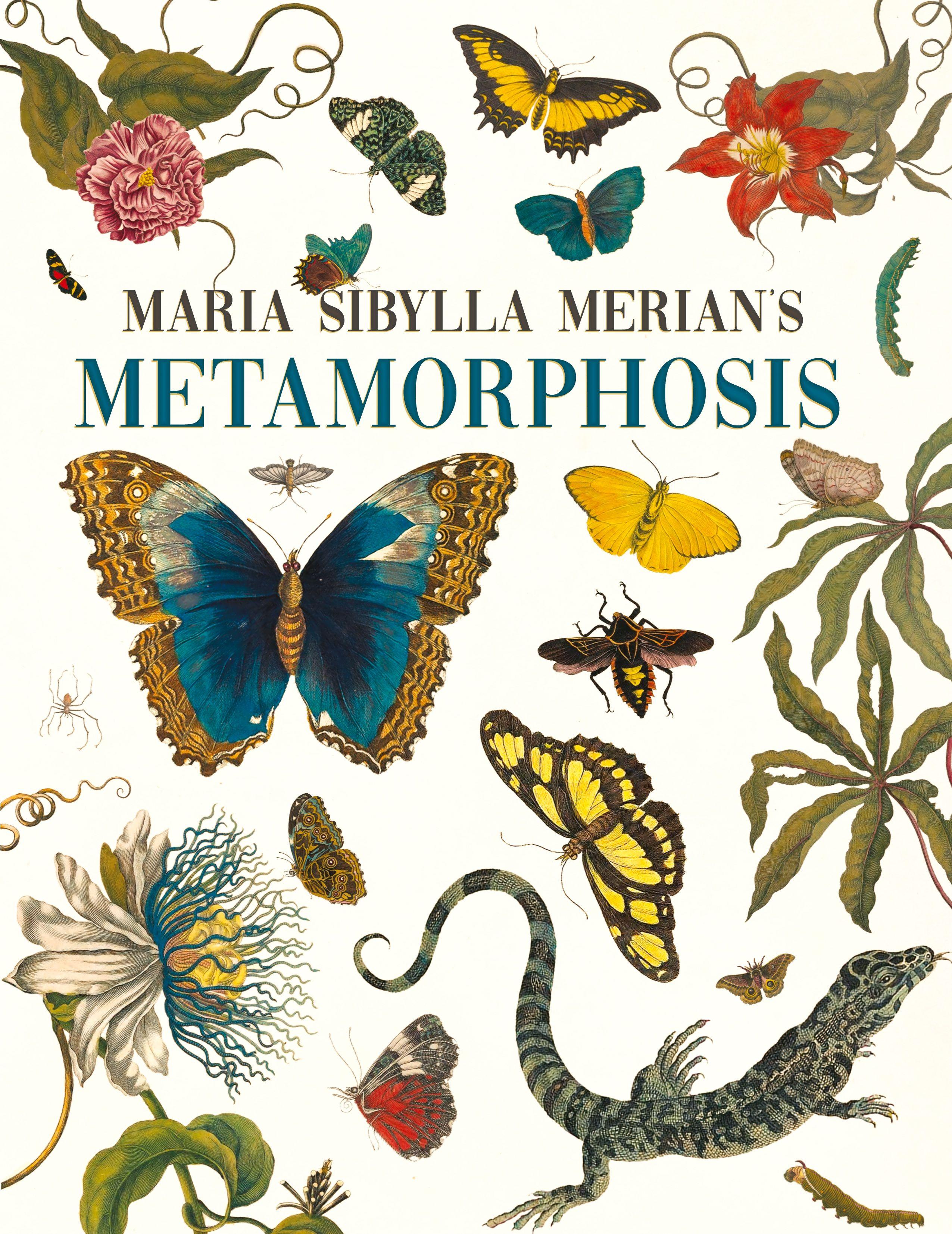 Vorderes Coverbild Maria Sibylla Merian's Metamorphosis