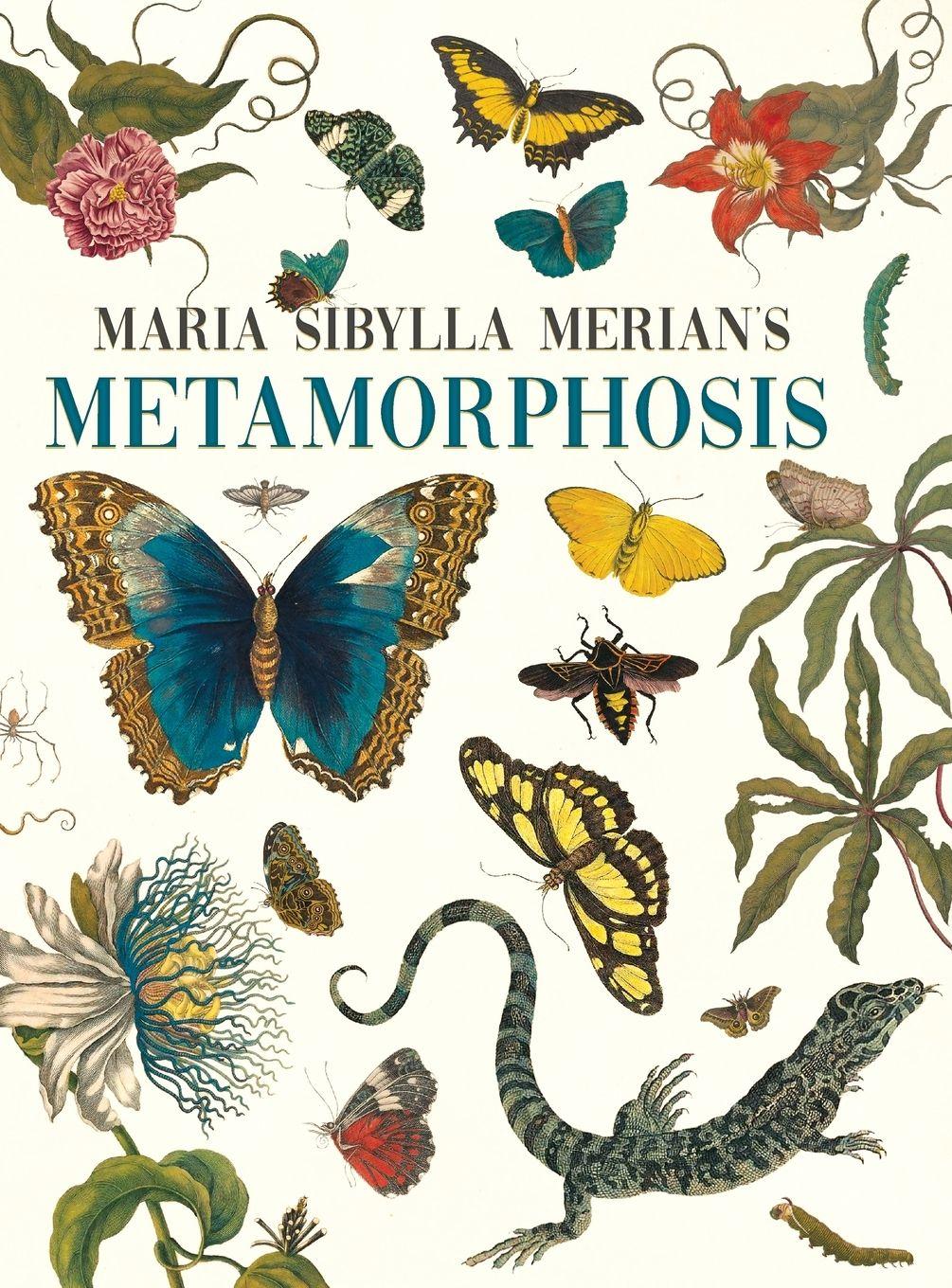 Vorderes Coverbild Maria Sibylla Merian's Metamorphosis
