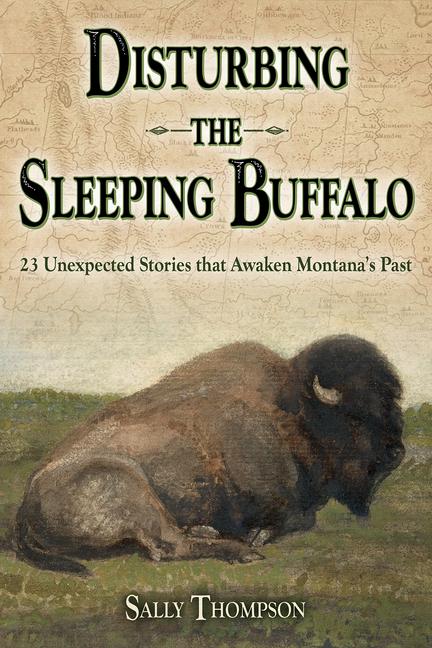 Vorderes Coverbild Disturbing the Sleeping Buffalo