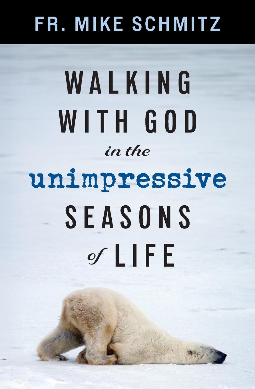 Vorderes Coverbild Walking with God in the Unimpressive Seasons of Life