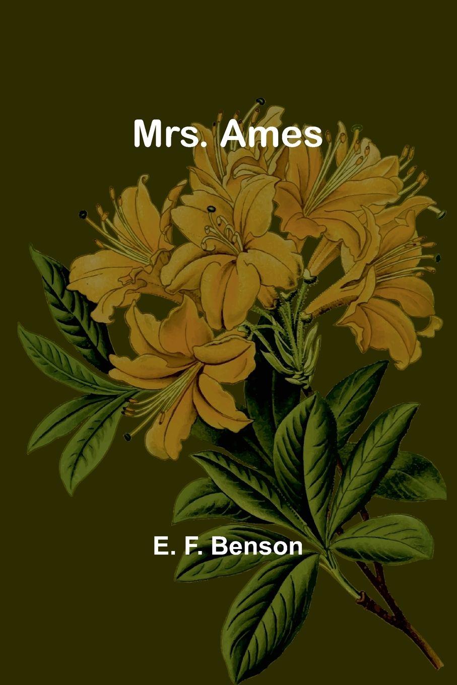Vorderes Coverbild Mrs. Ames
