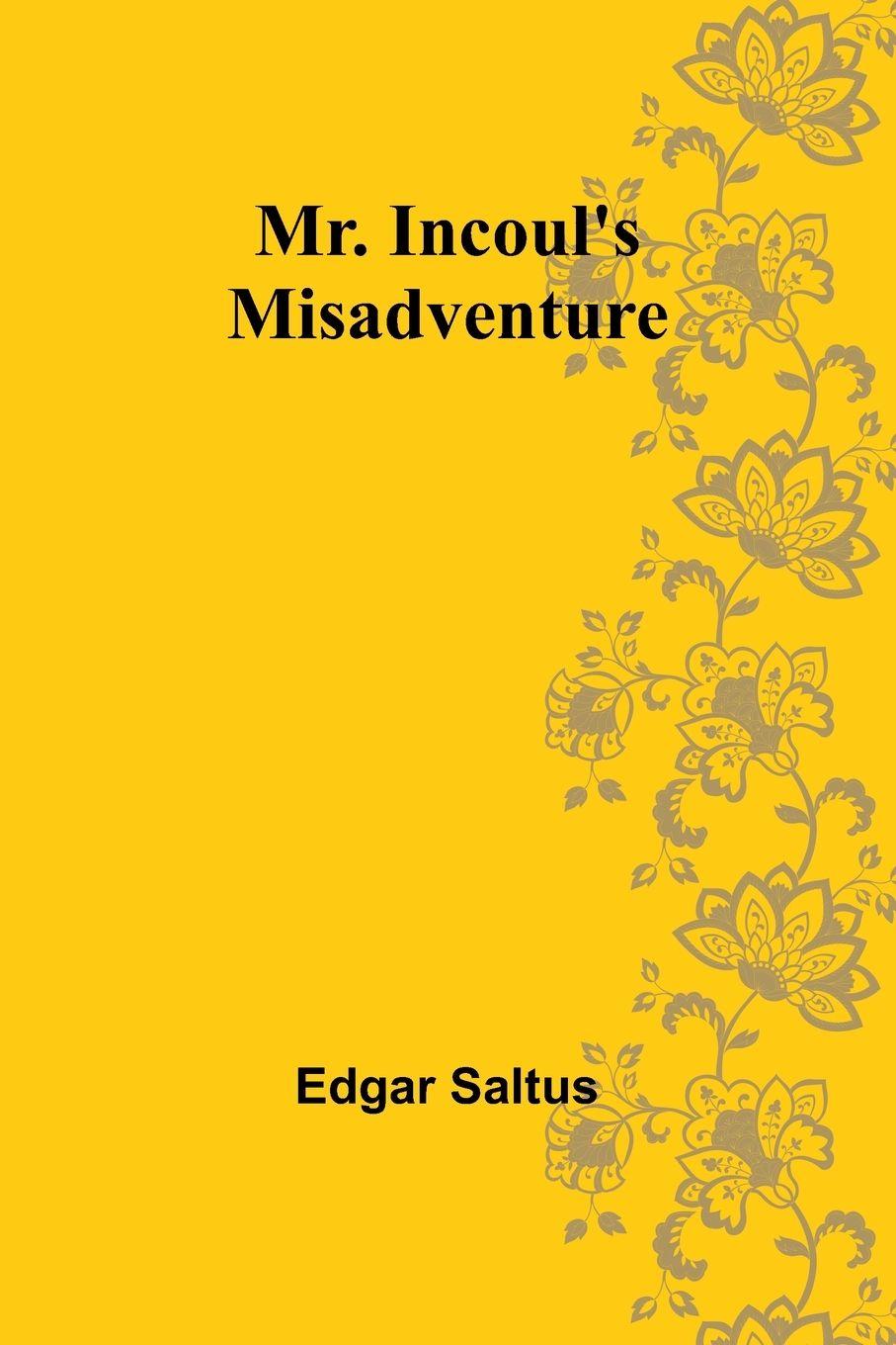 Vorderes Coverbild Mr. Incoul's Misadventure