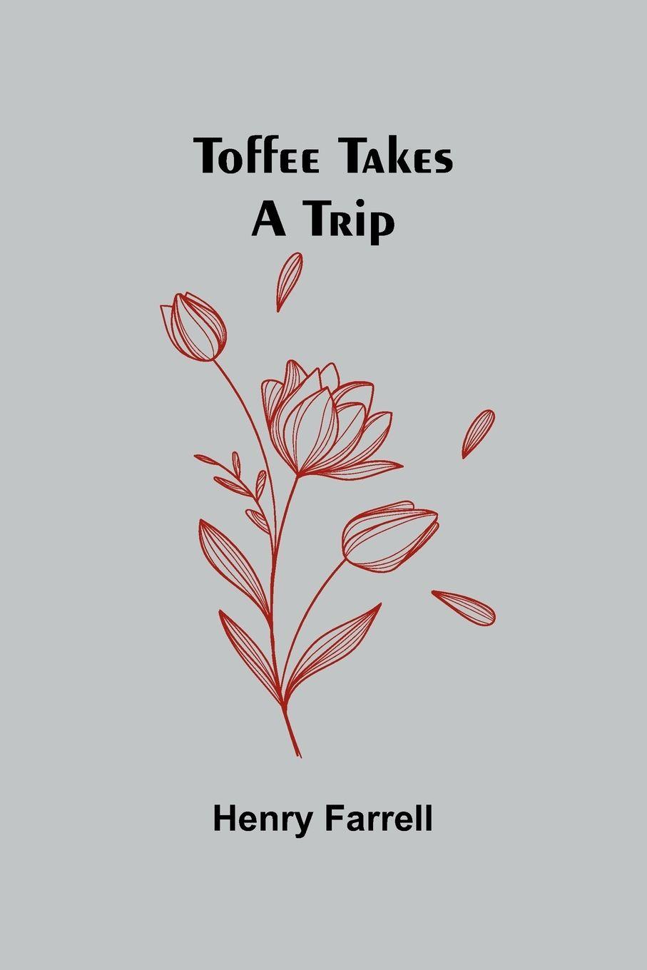 Vorderes Coverbild Toffee takes a trip