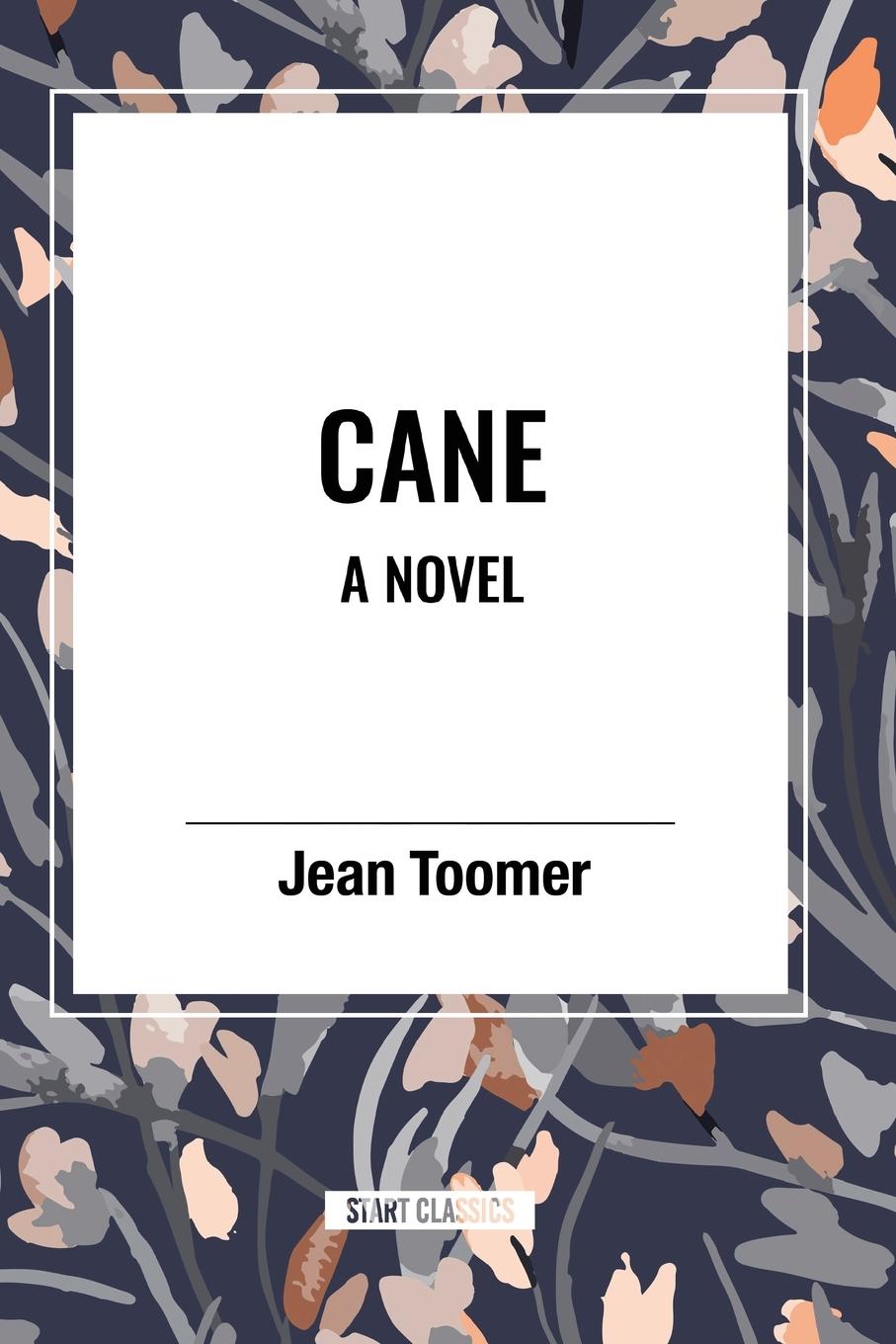 Vorderes Coverbild Cane A Novel