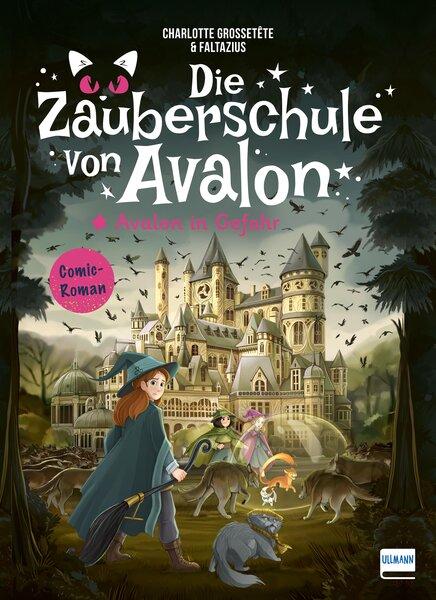 Vorderes Coverbild Die Zauberschule von Avalon - Avalon in Gefahr