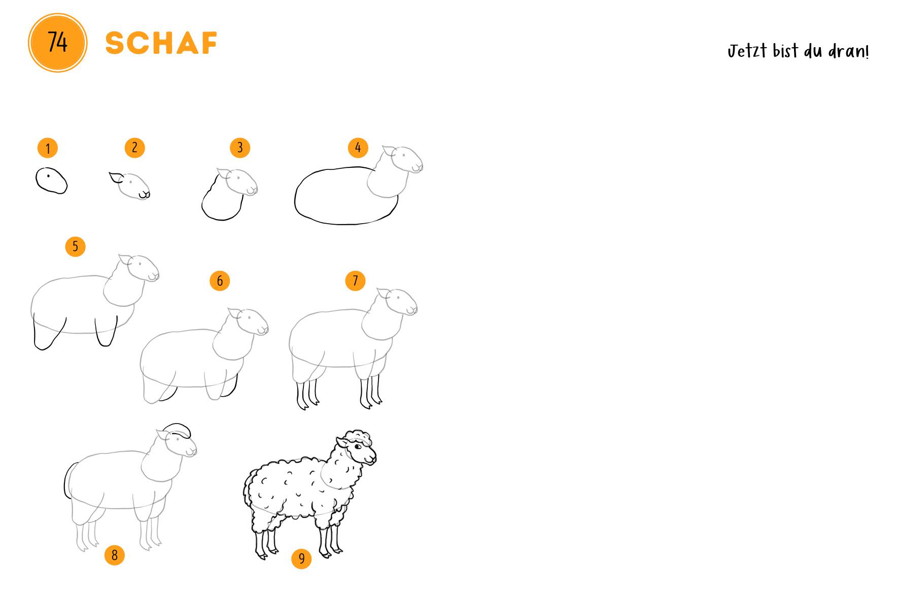 Beispielinhalt (Bild) 300 Motive zeichnen