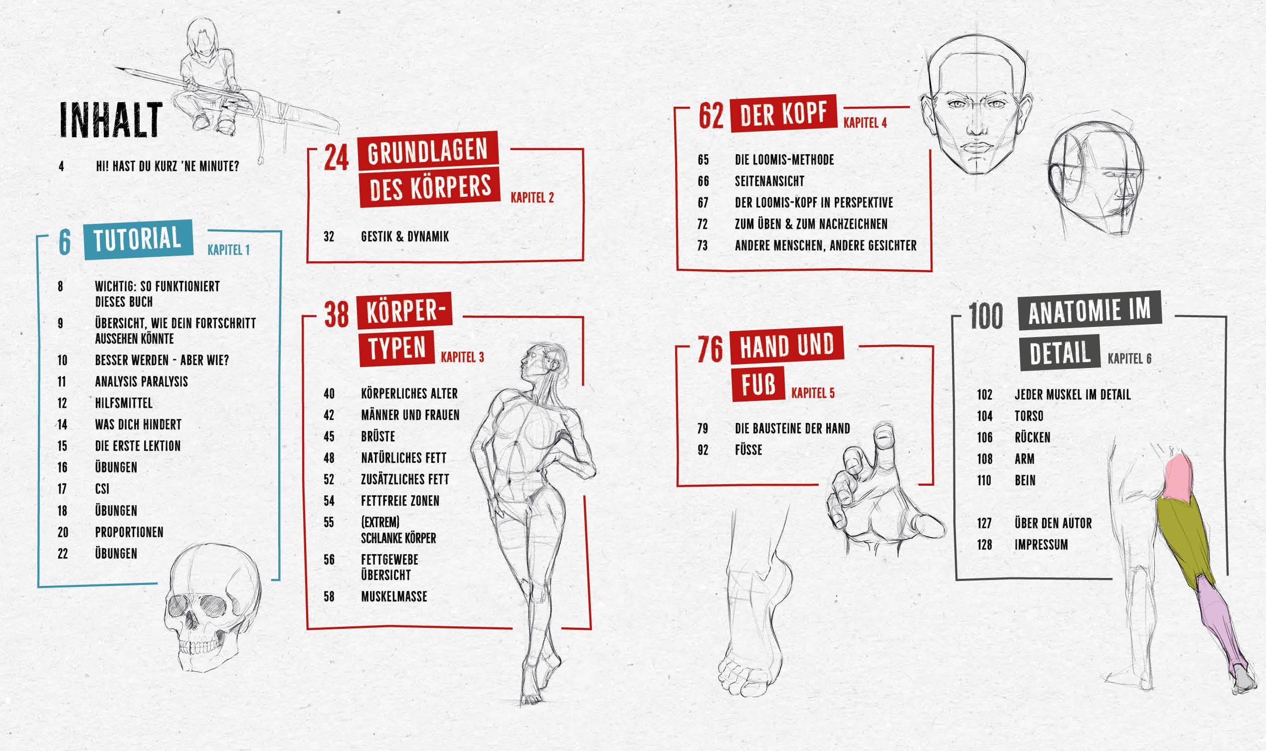 Beispielinhalt (Bild) Anatomie zeichnen like a Sir