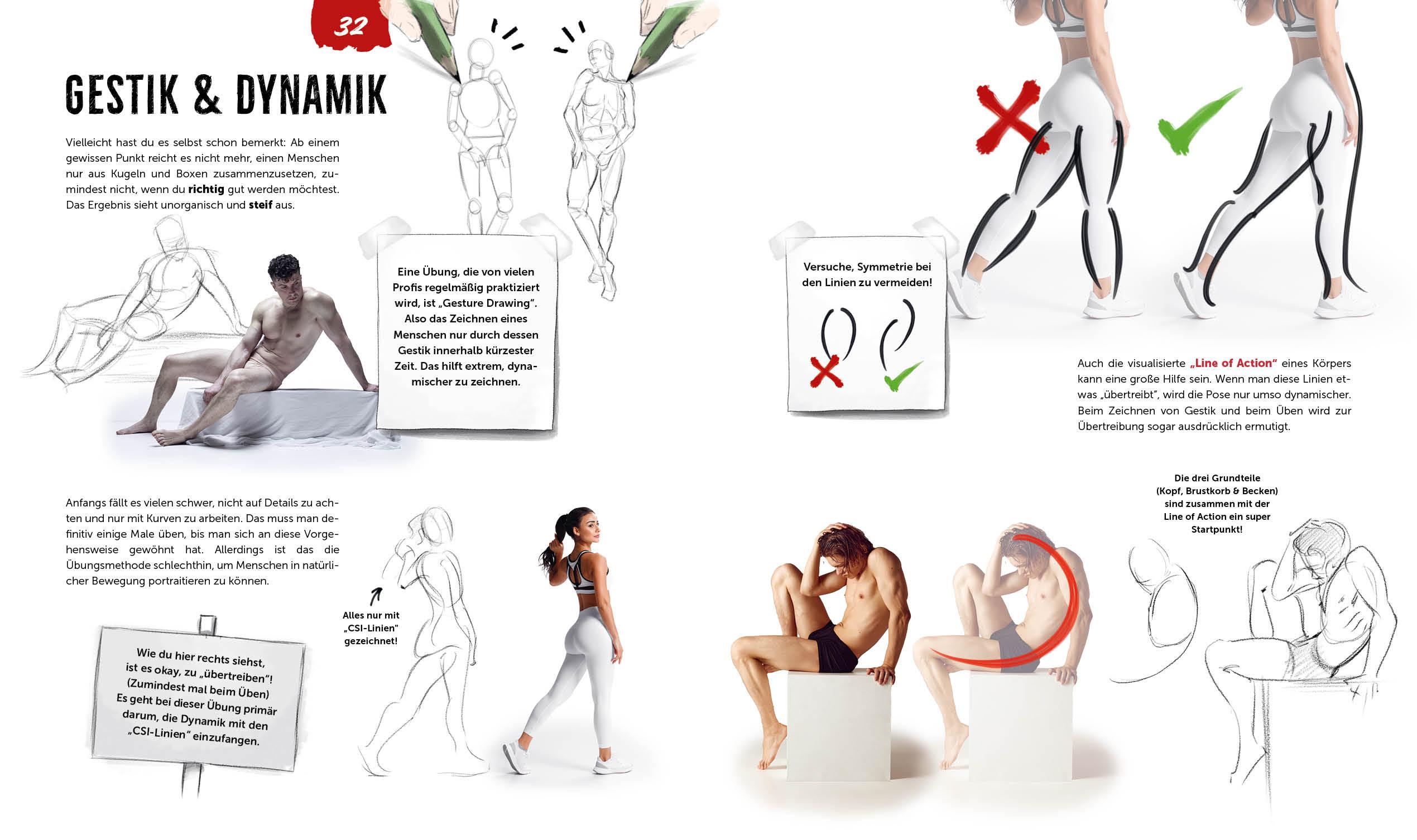 Beispielinhalt (Bild) Anatomie zeichnen like a Sir