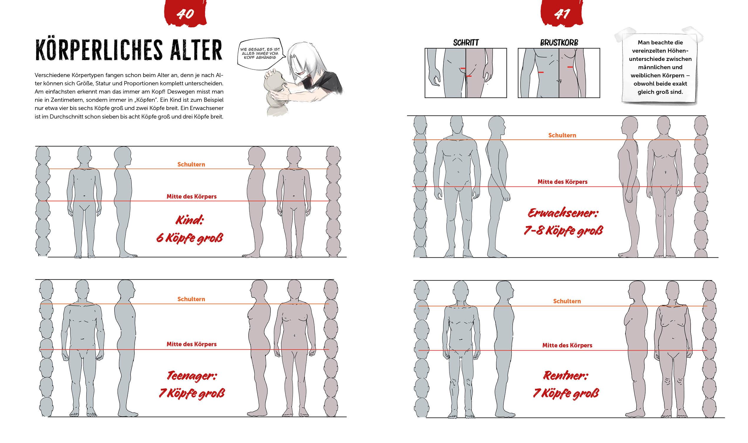 Beispielinhalt (Bild) Anatomie zeichnen like a Sir