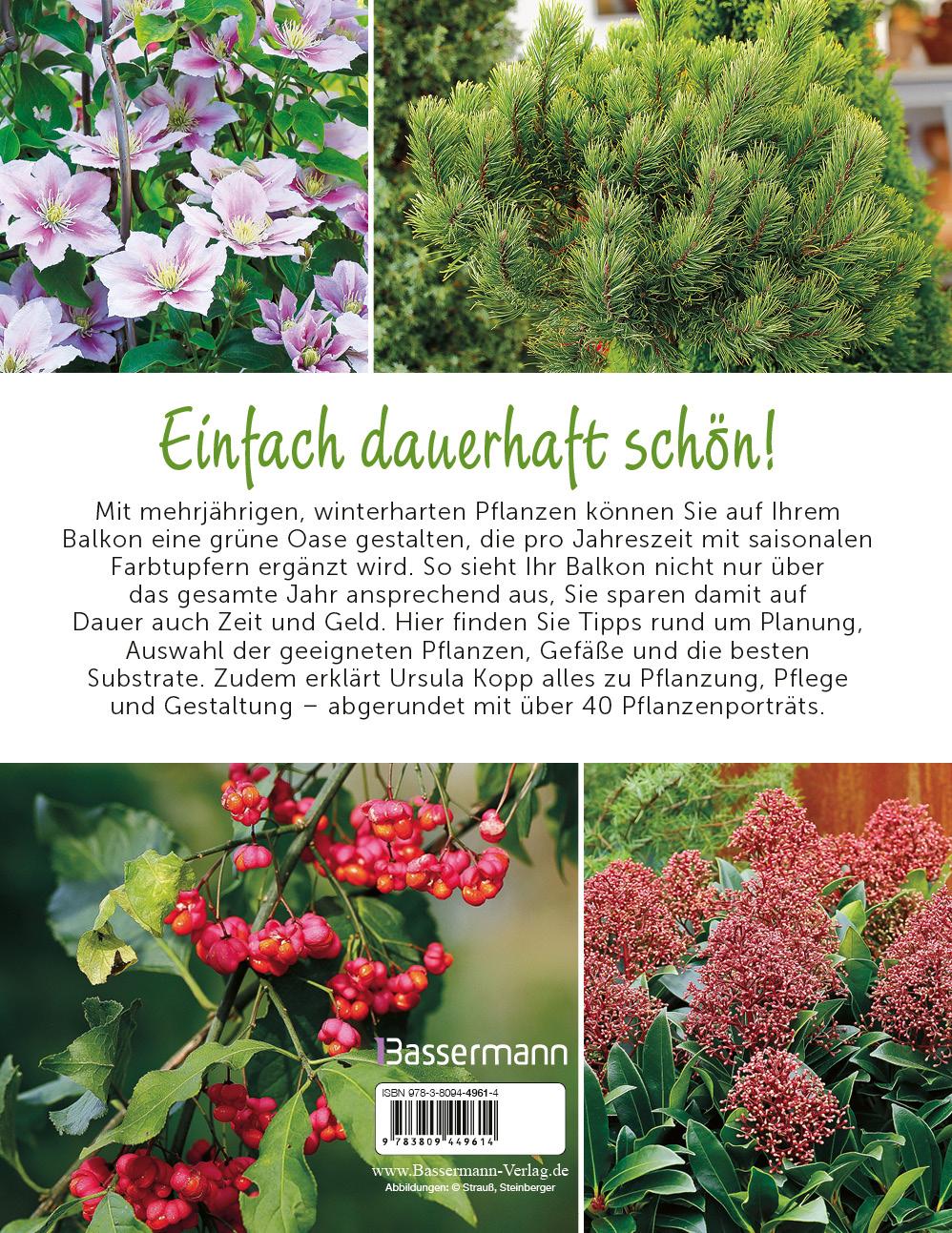 Beispielinhalt (Bild) Der immergrüne Balkon. Ganzjährig gestalten mit winterharten Pflanzen