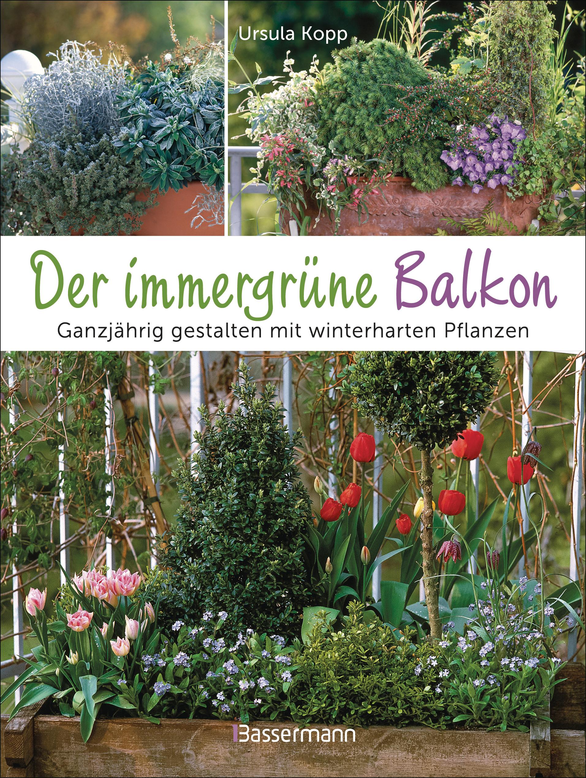 Vorderes Coverbild Der immergrüne Balkon. Ganzjährig gestalten mit winterharten Pflanzen