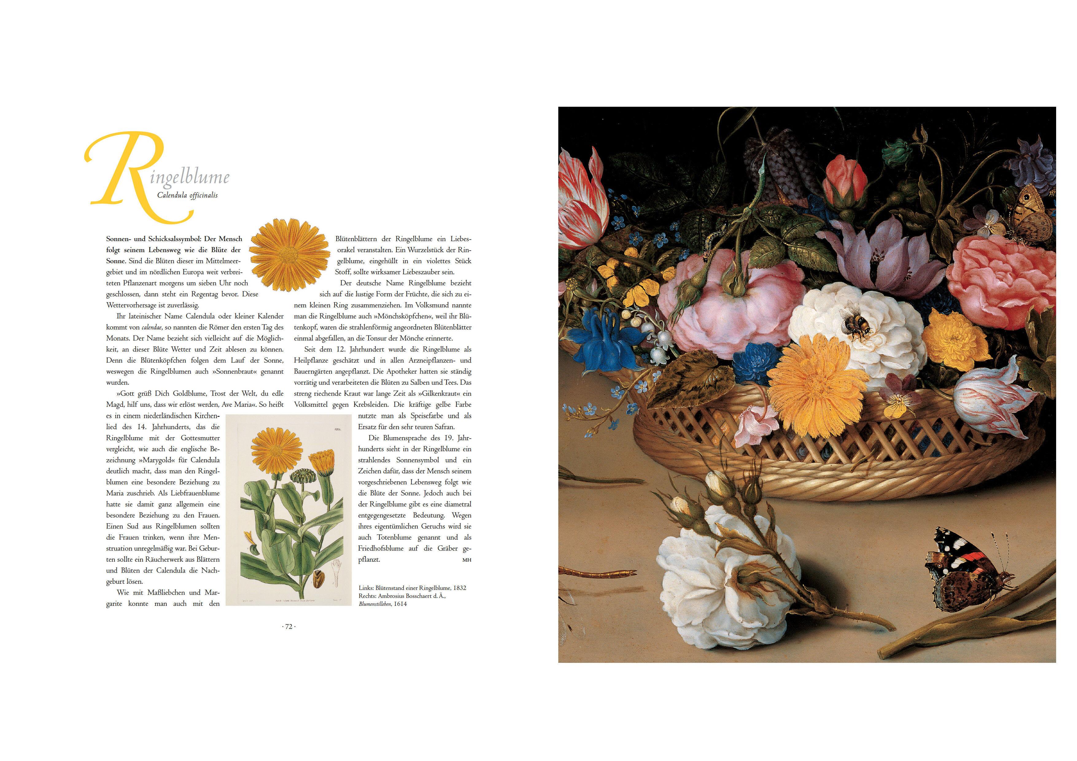 Beispielinhalt (Bild) Die Sprache der Blumen. Pflanzen und ihre symbolische Bedeutung