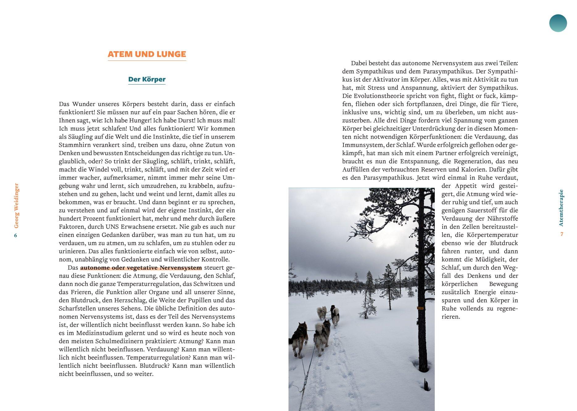 Beispielinhalt (Bild) Die Georg Weidinger Atemtherapie