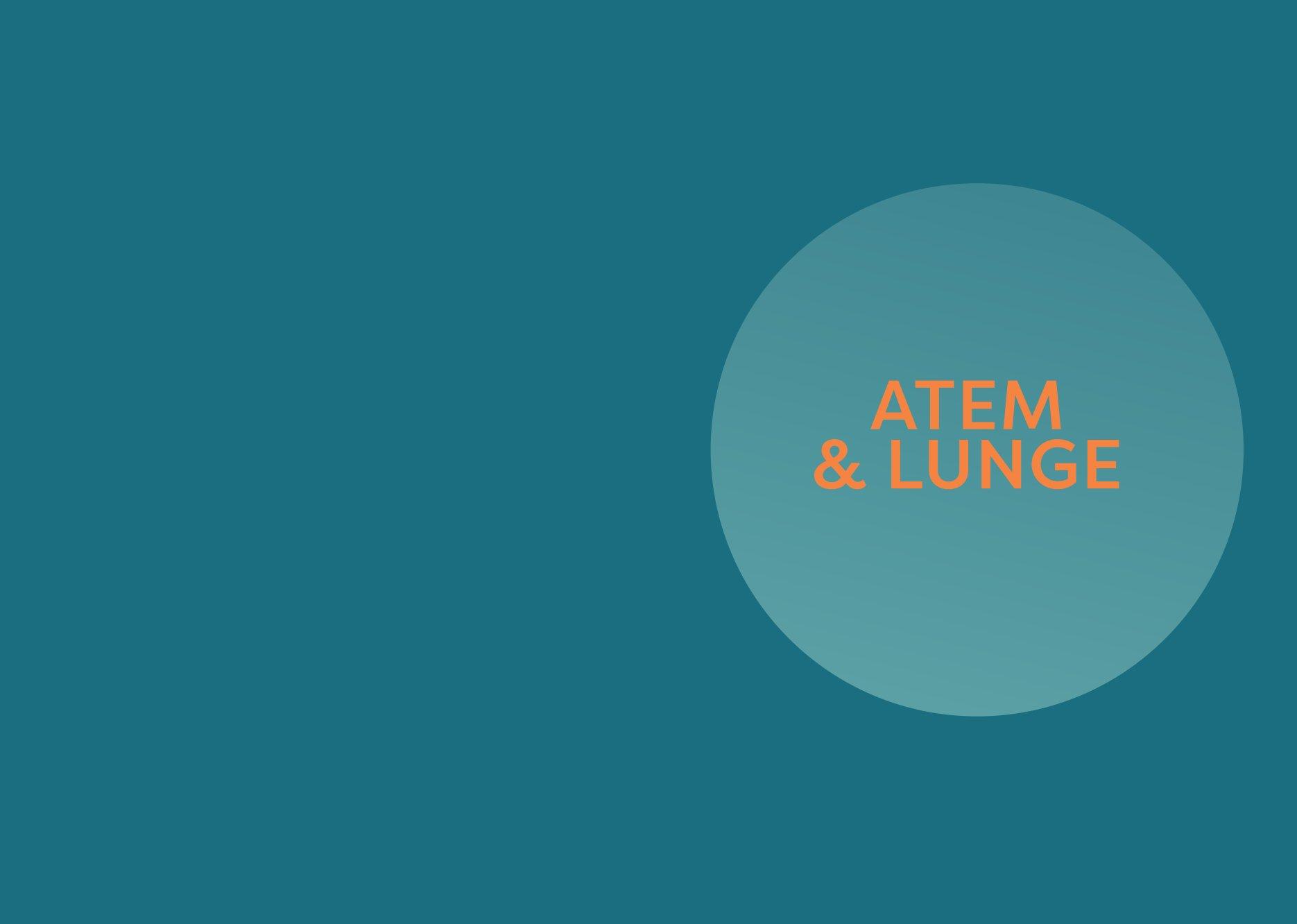 Beispielinhalt (Bild) Die Georg Weidinger Atemtherapie