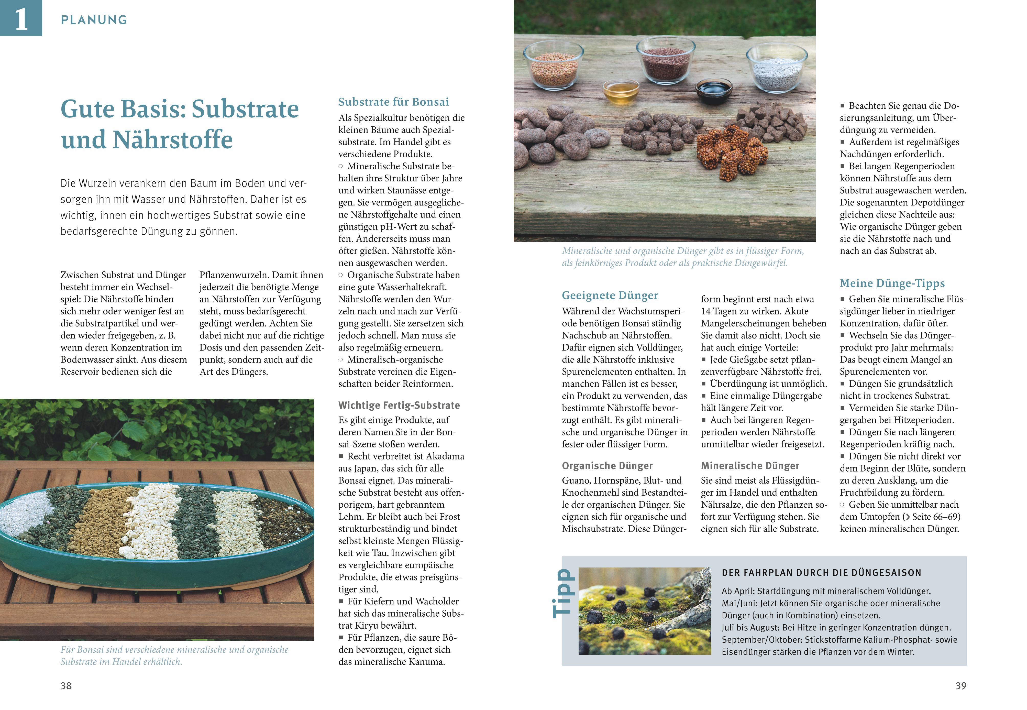Beispielinhalt (Bild) Bonsai ziehen, gestalten und pflegen
