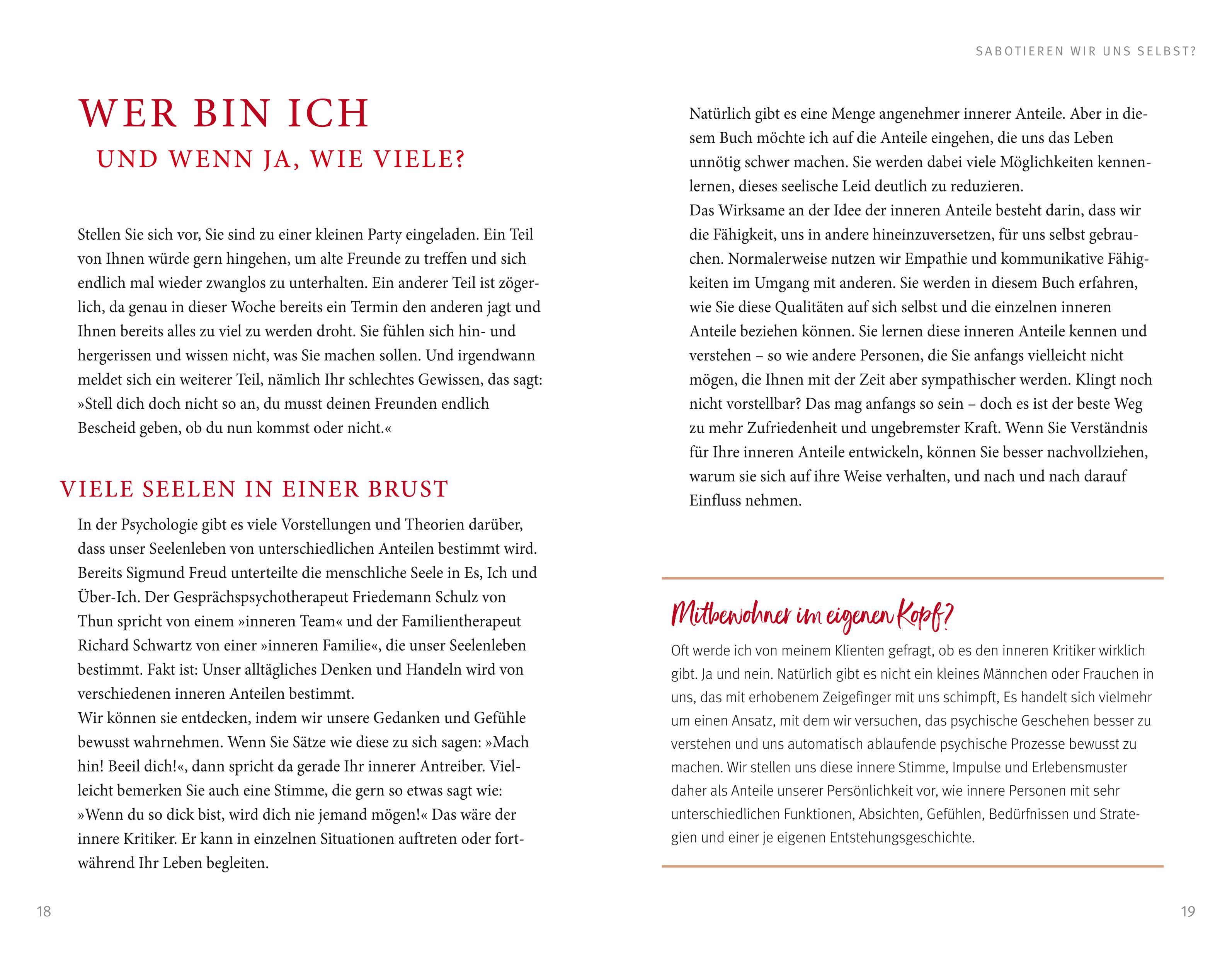 Beispielinhalt (Bild) Der Feind in meinem Kopf