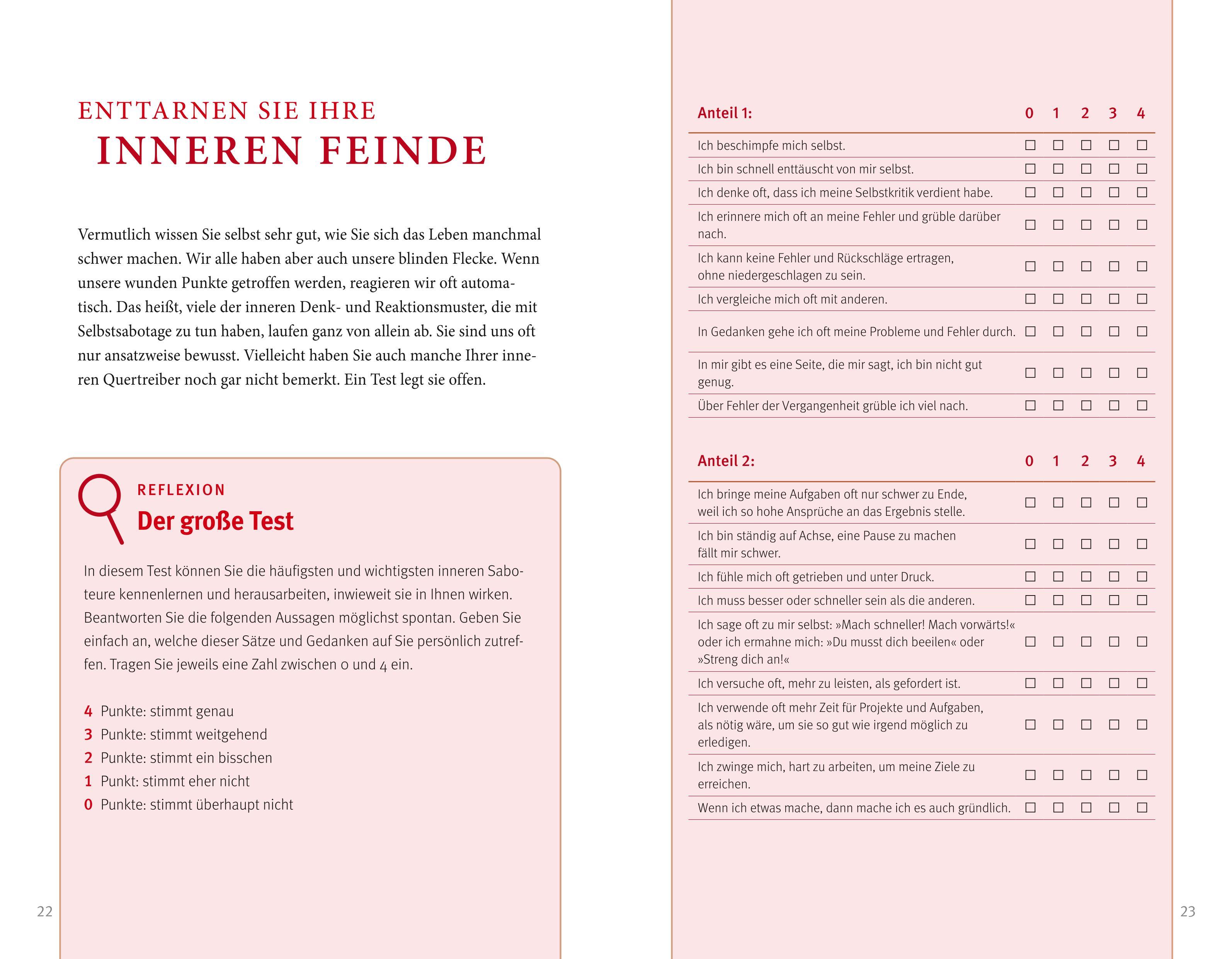 Beispielinhalt (Bild) Der Feind in meinem Kopf