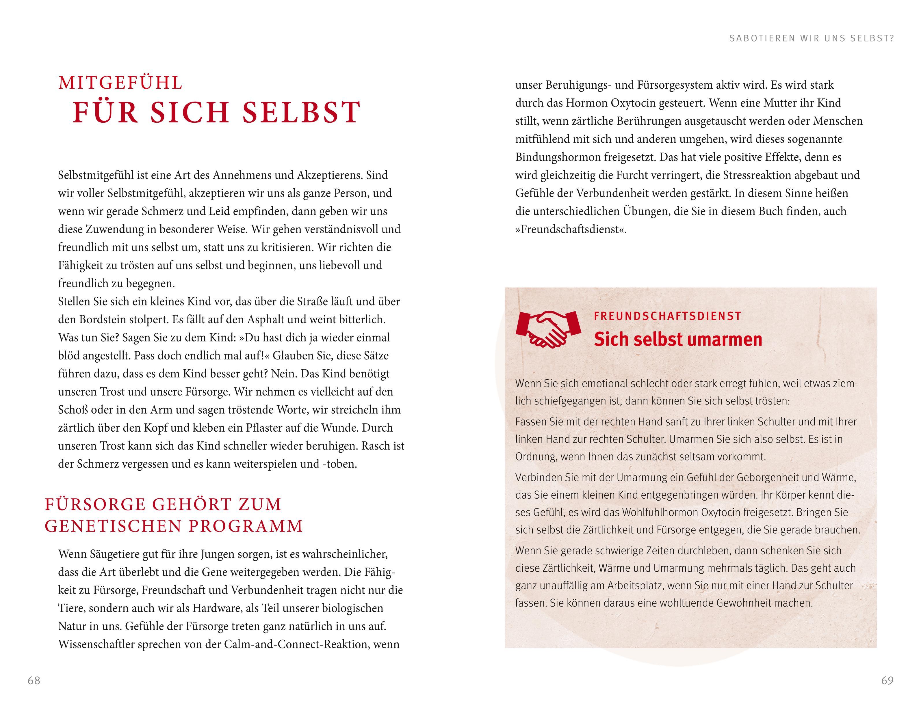Beispielinhalt (Bild) Der Feind in meinem Kopf