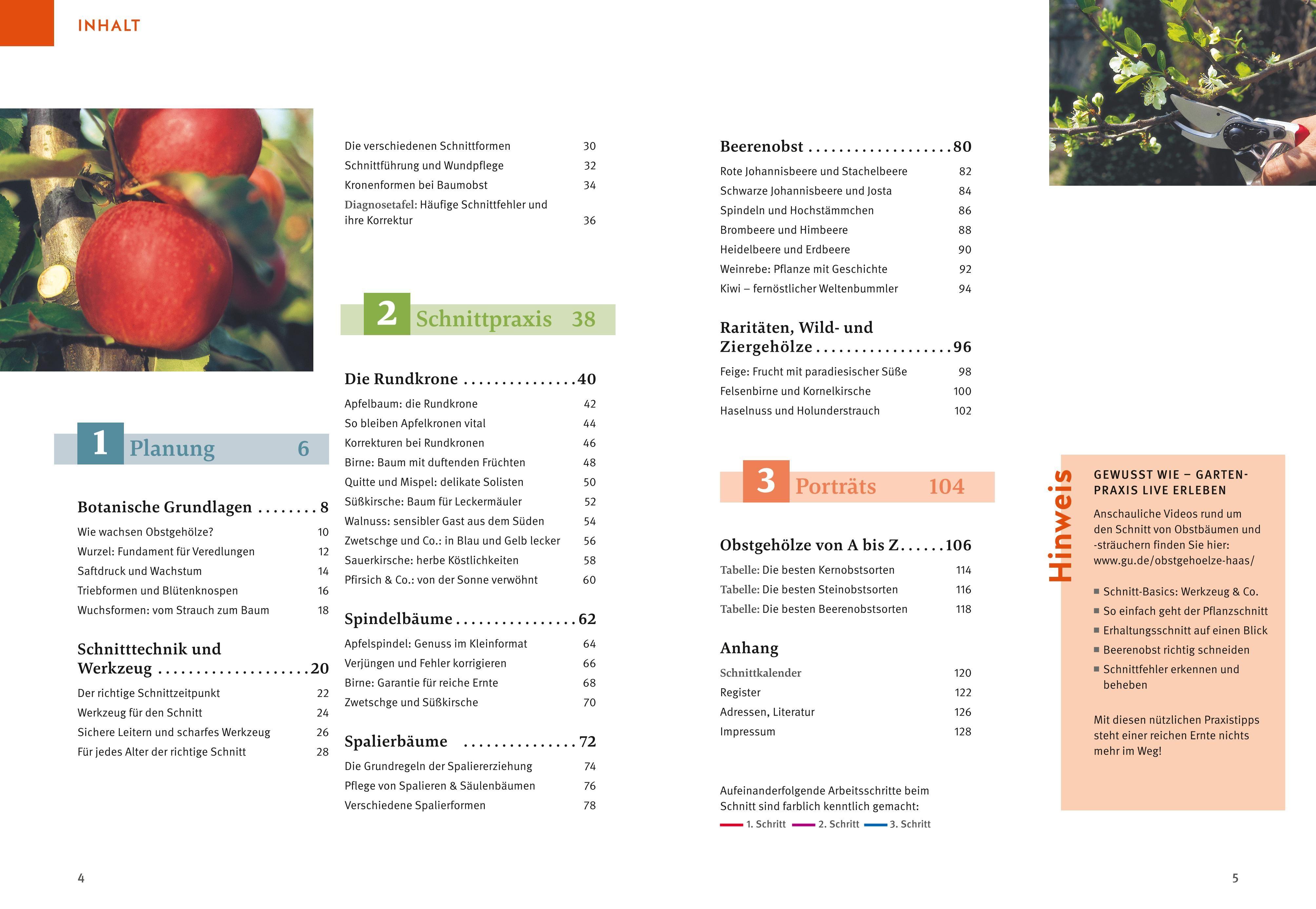Beispielinhalt (Bild) Obstgehölze schneiden