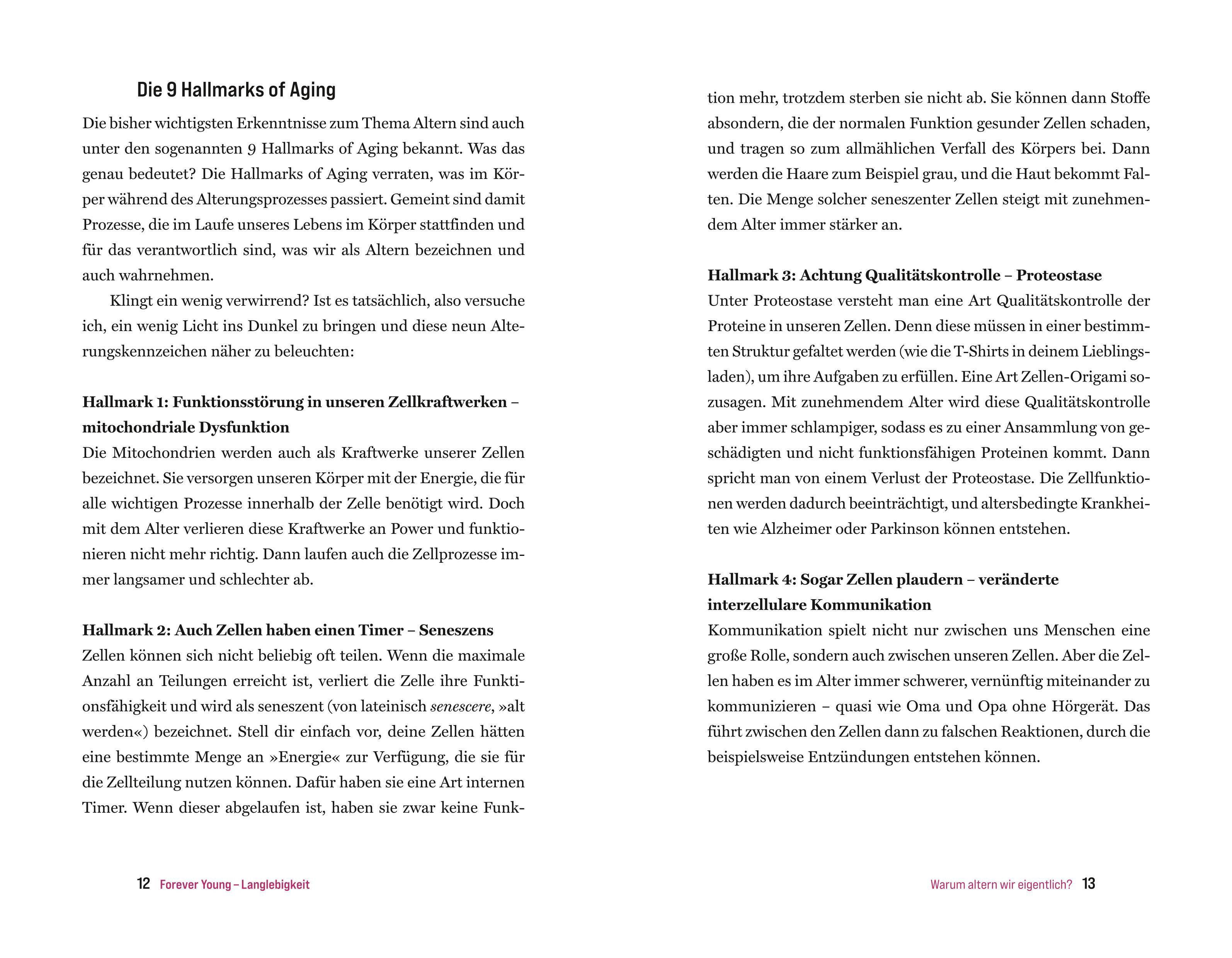 Beispielinhalt (Bild) # Health Upgrade