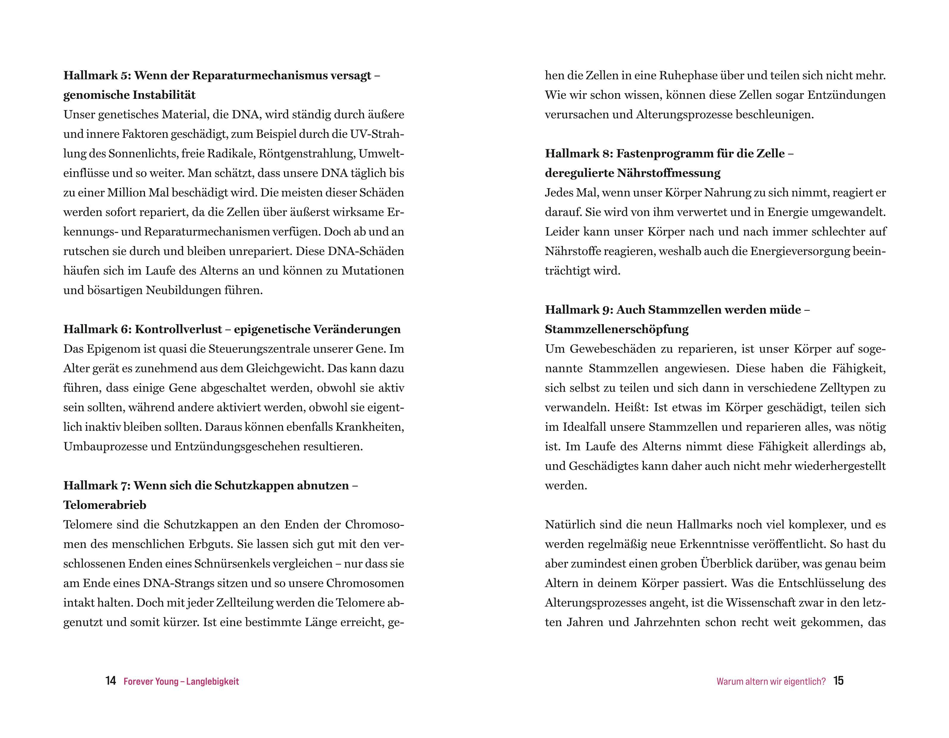 Beispielinhalt (Bild) # Health Upgrade