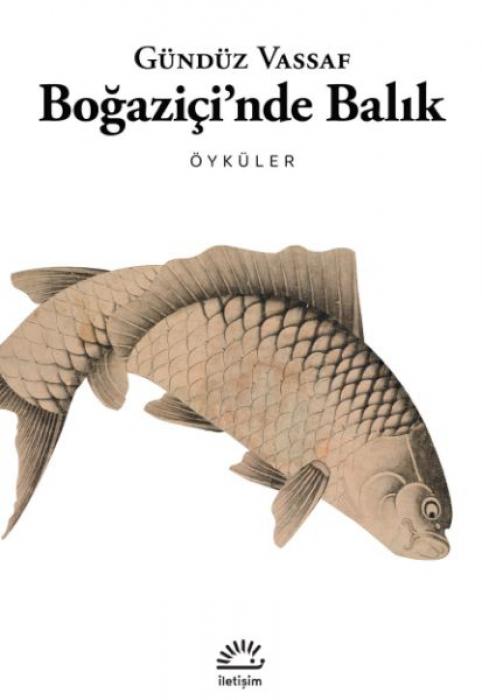 Vorderes Coverbild Bogazicinde Balik