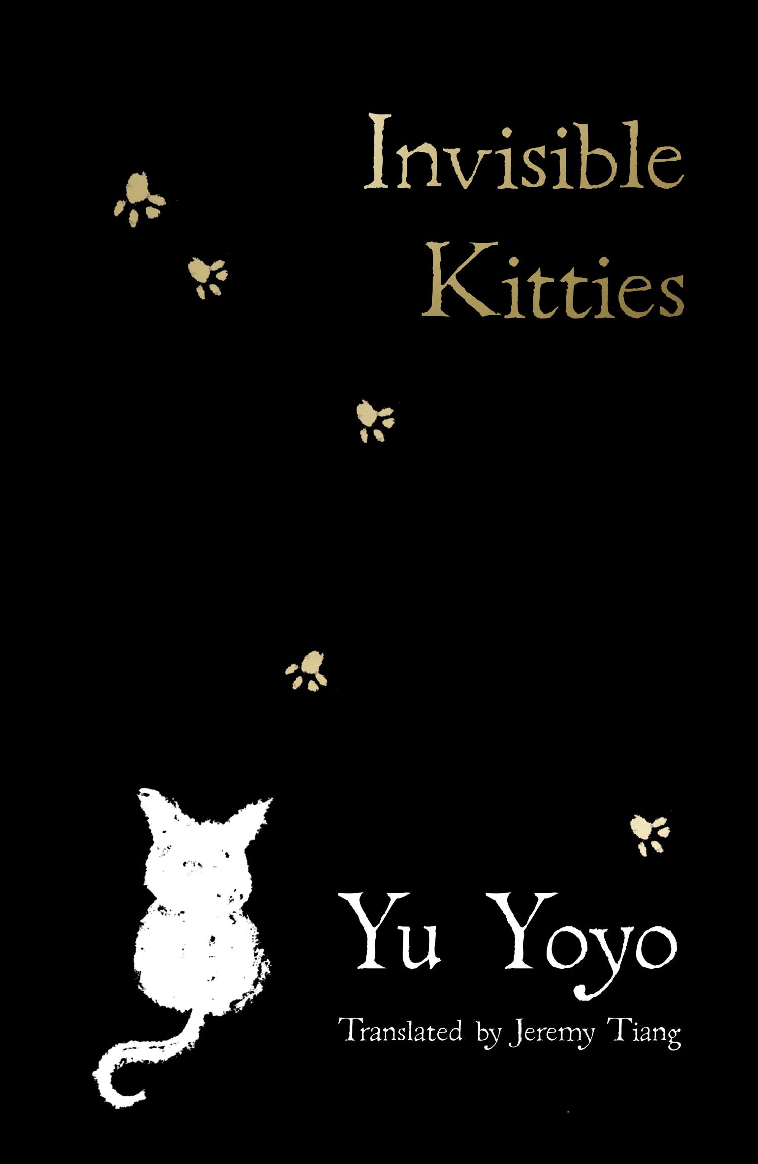 Vorderes Coverbild Invisible Kitties