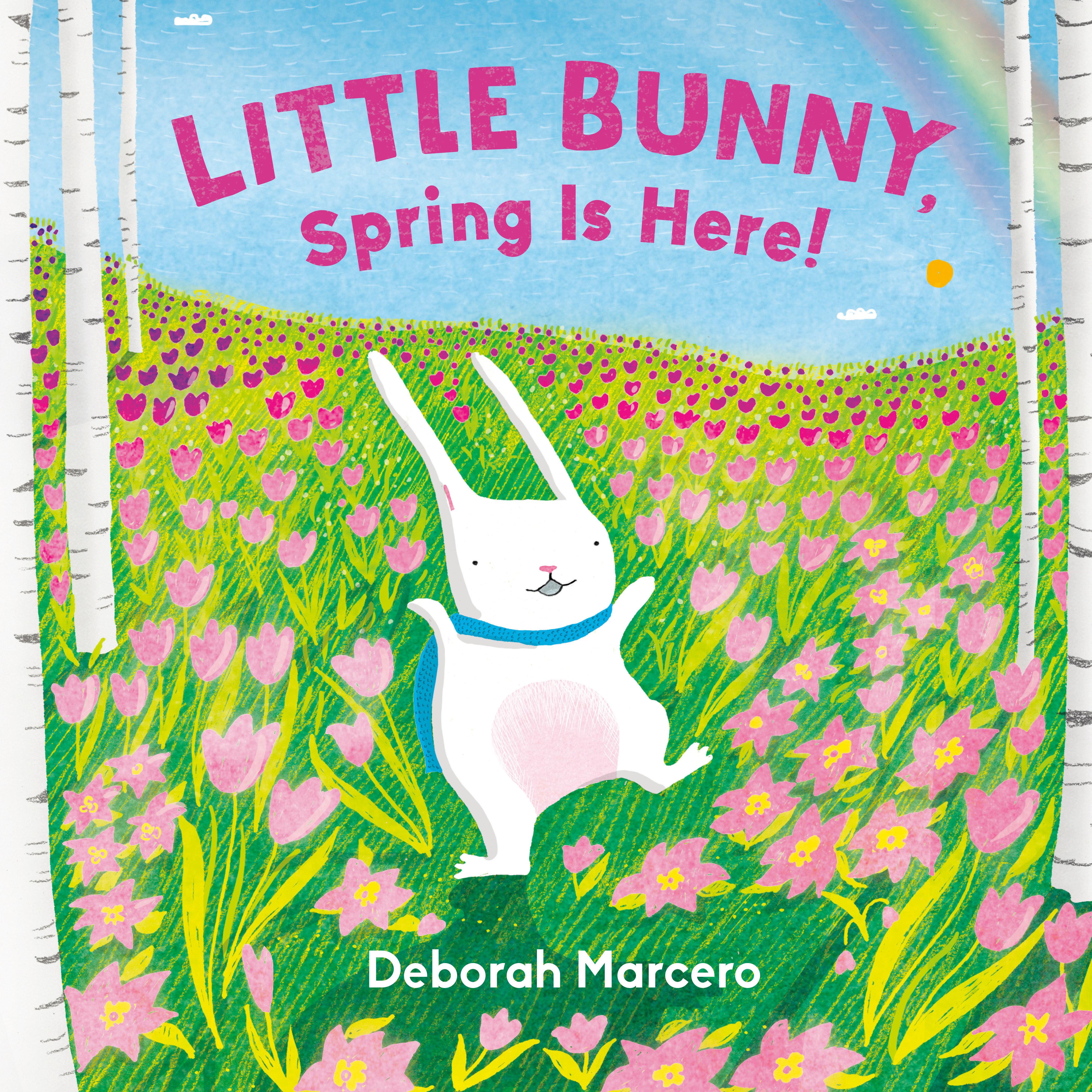 Vorderes Coverbild Little Bunny, Spring Is Here!