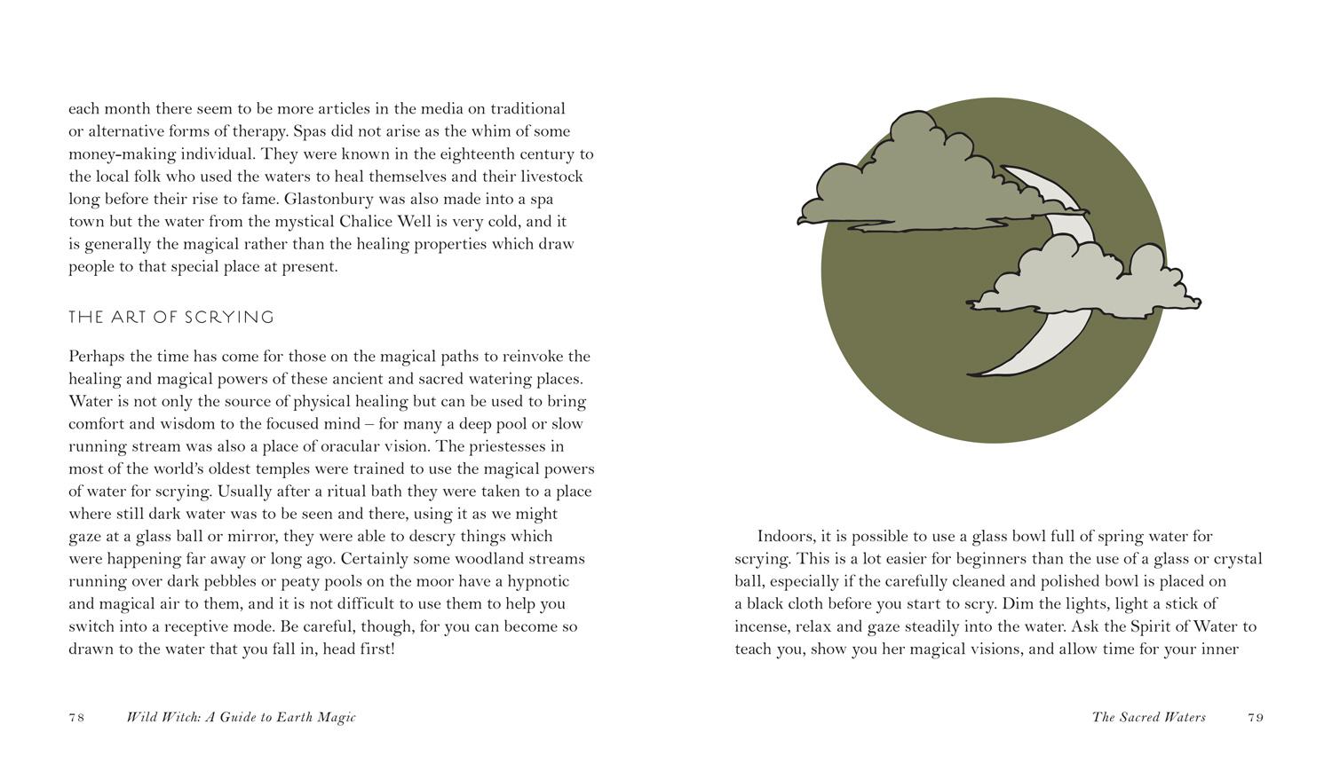 Beispielinhalt (Bild) Wild Witch