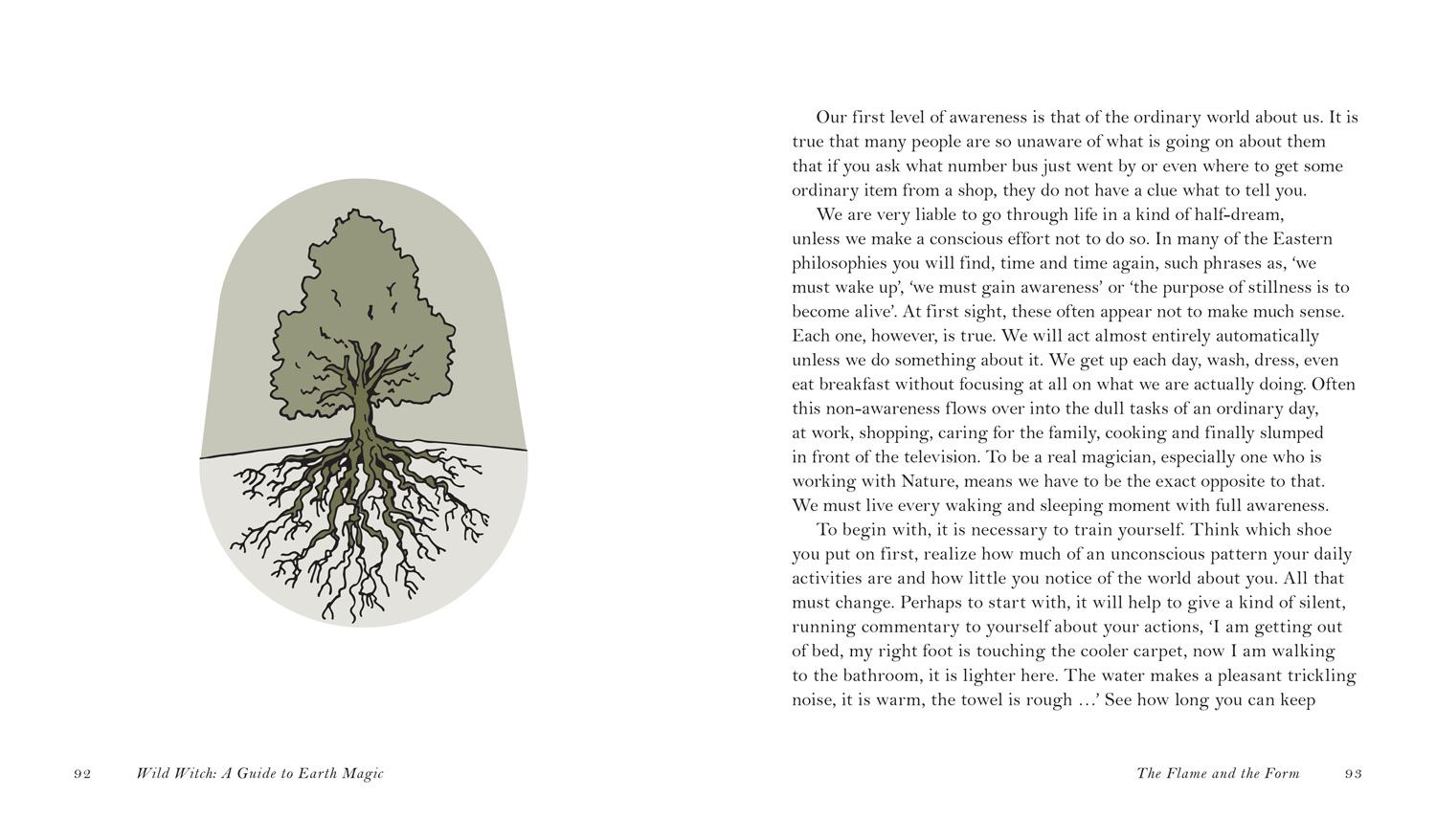 Beispielinhalt (Bild) Wild Witch