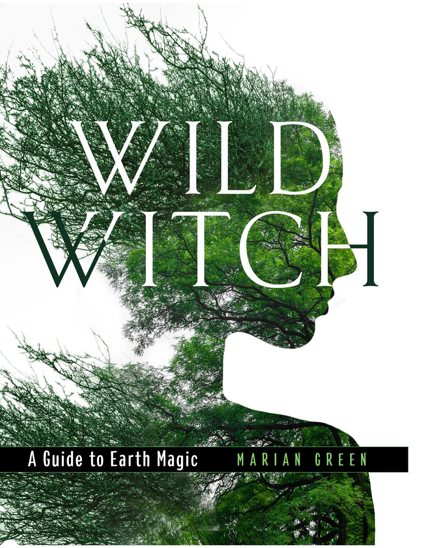 Vorderes Coverbild Wild Witch