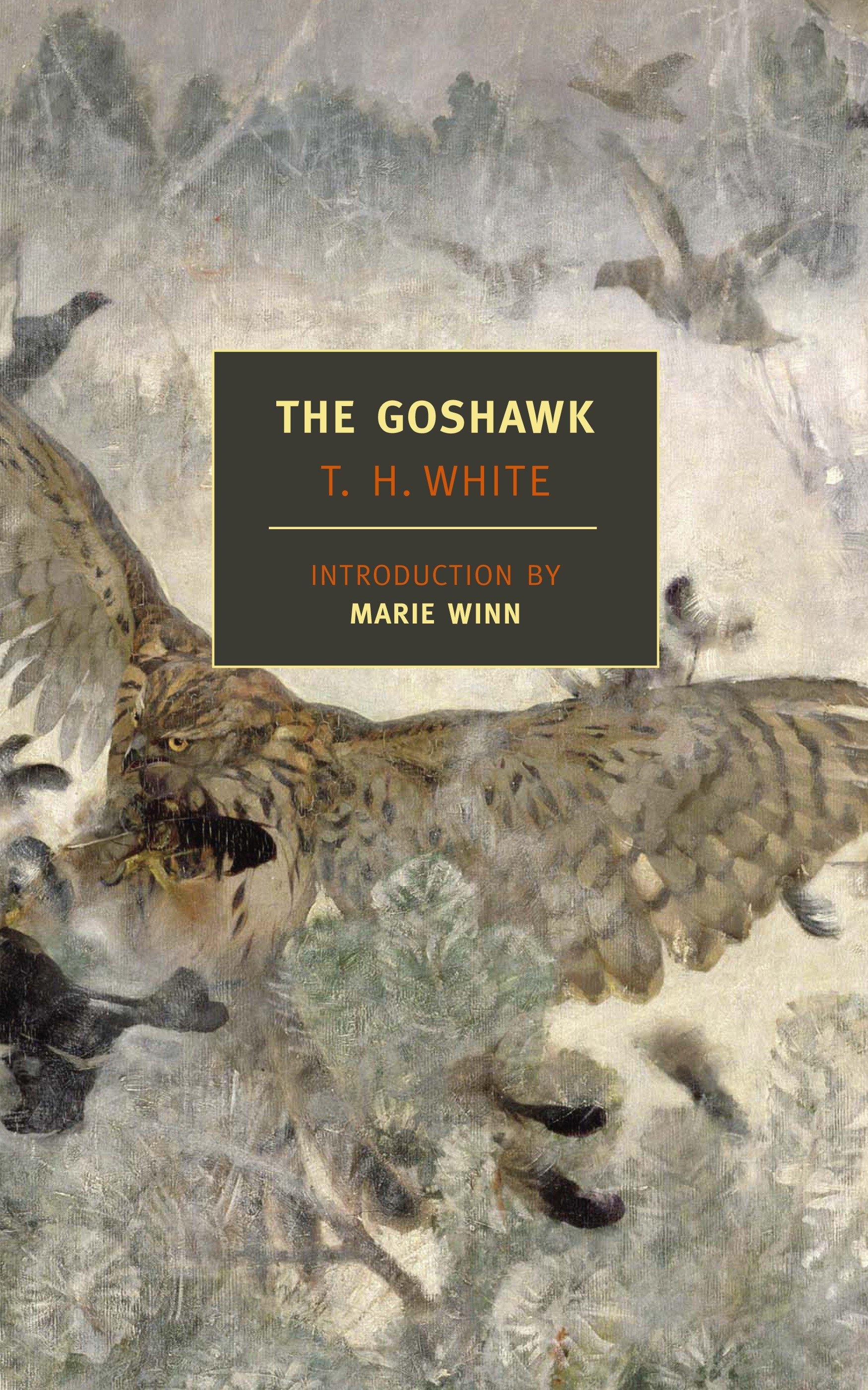Vorderes Coverbild The Goshawk