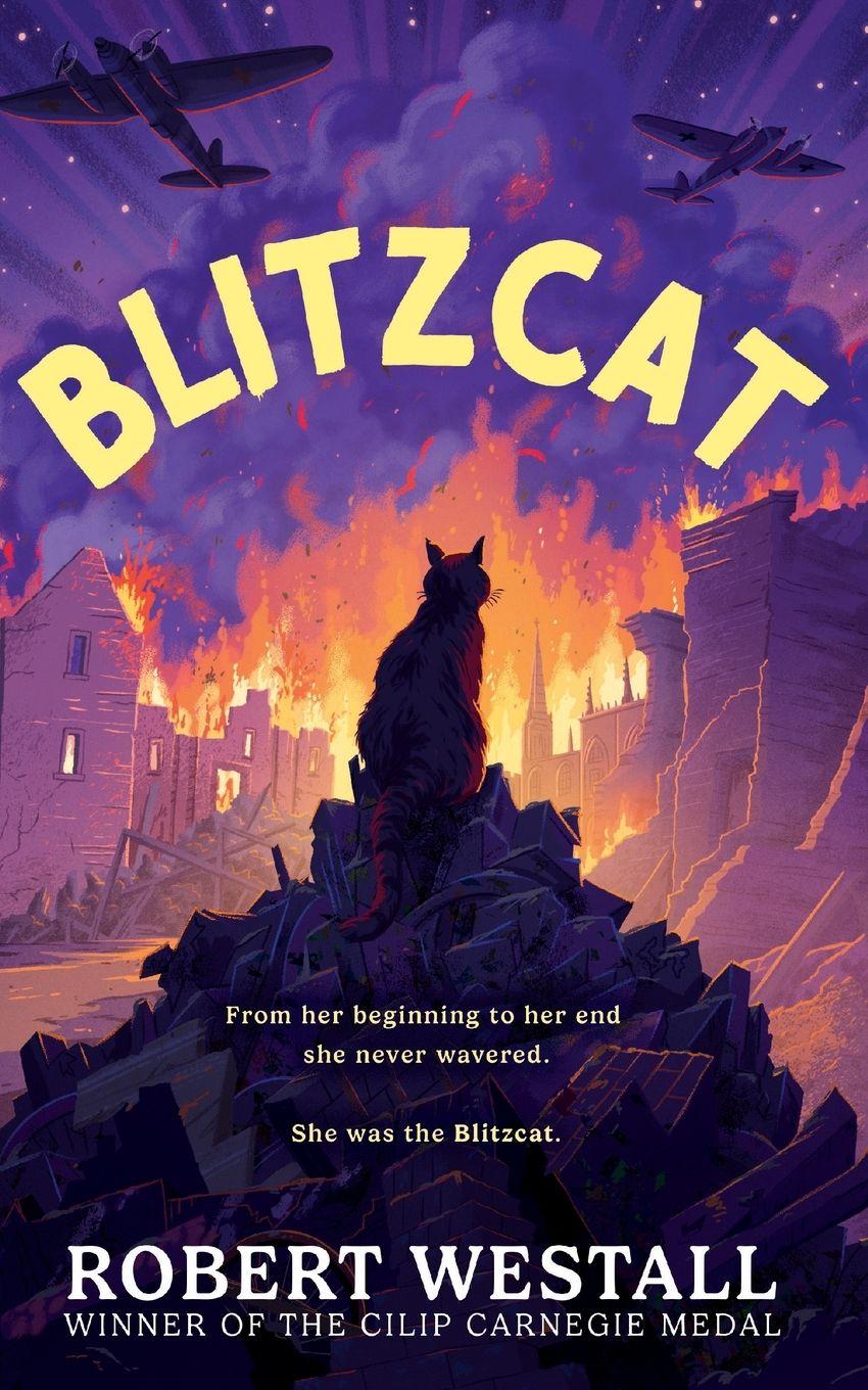 Vorderes Coverbild Blitzcat