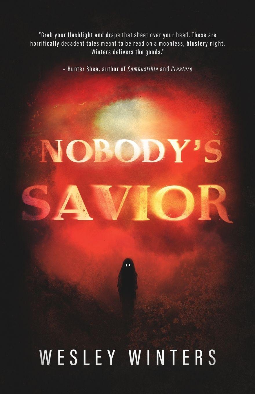 Vorderes Coverbild Nobody's Savior