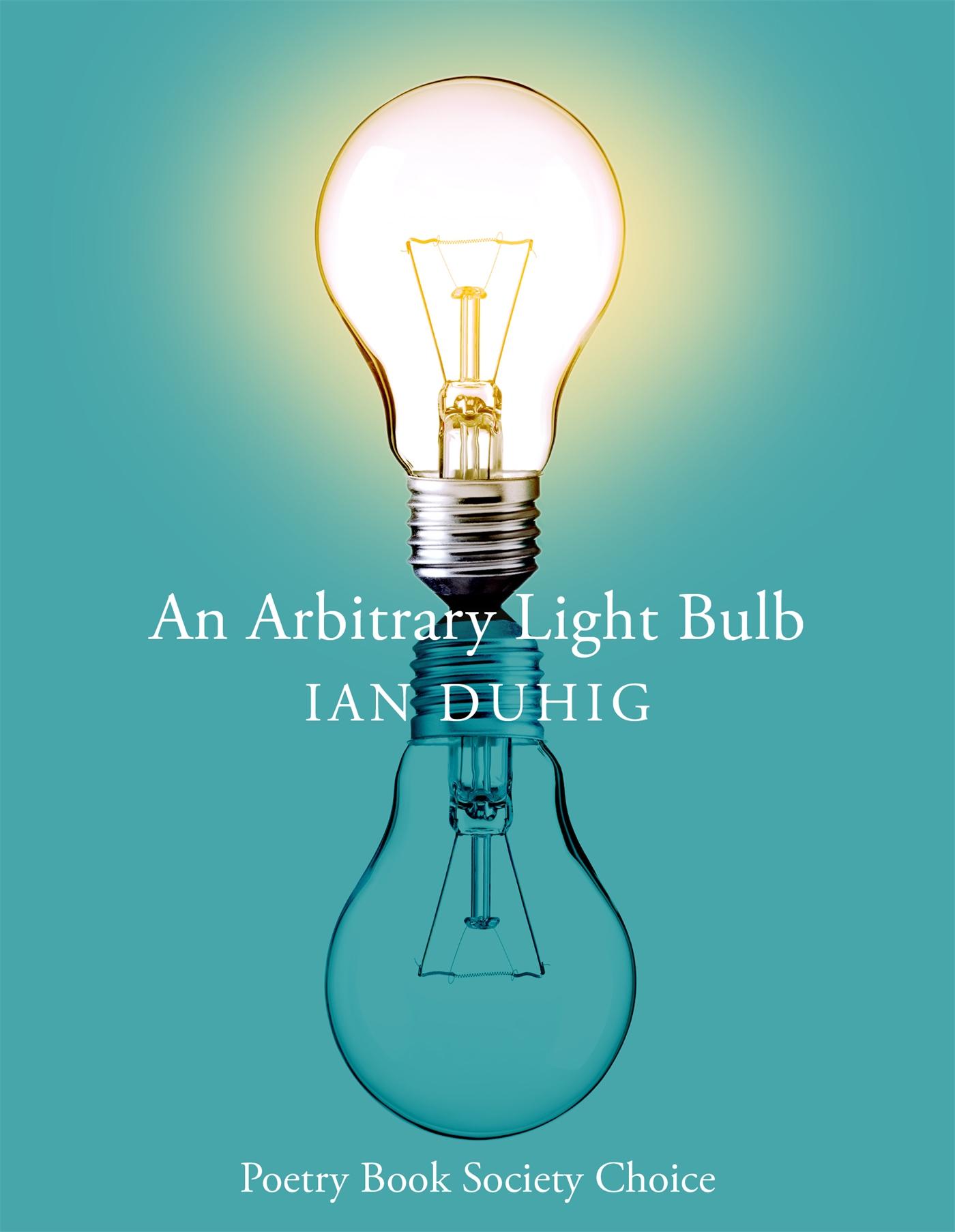 Vorderes Coverbild An Arbitrary Light Bulb