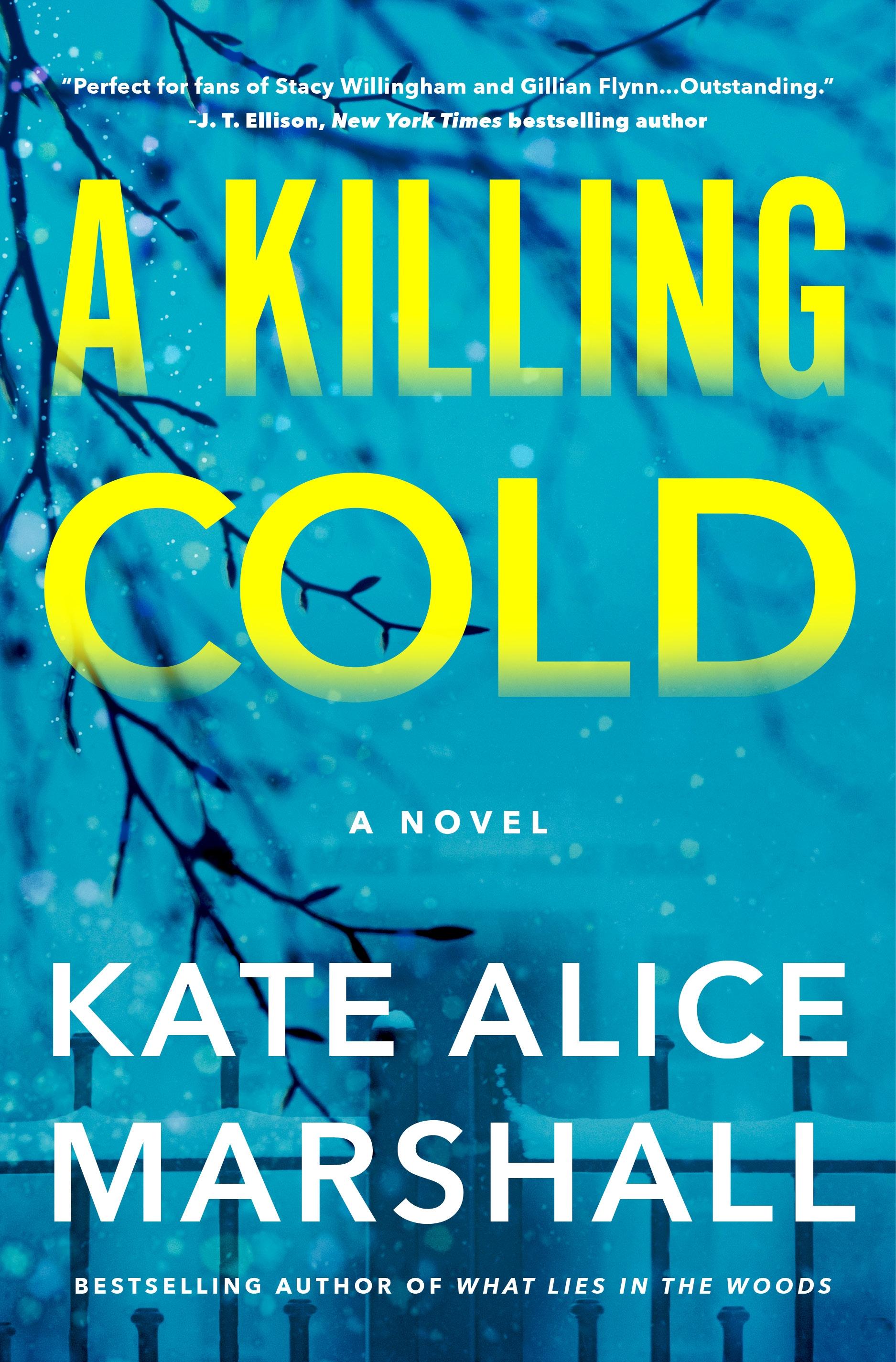 Vorderes Coverbild A Killing Cold